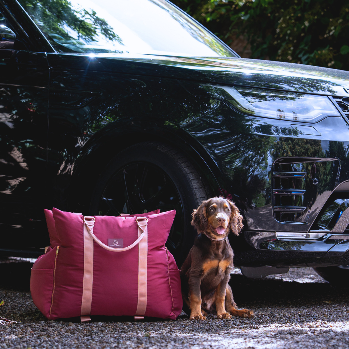 Dog Car Seats For Dachshunds: Which Is Best?