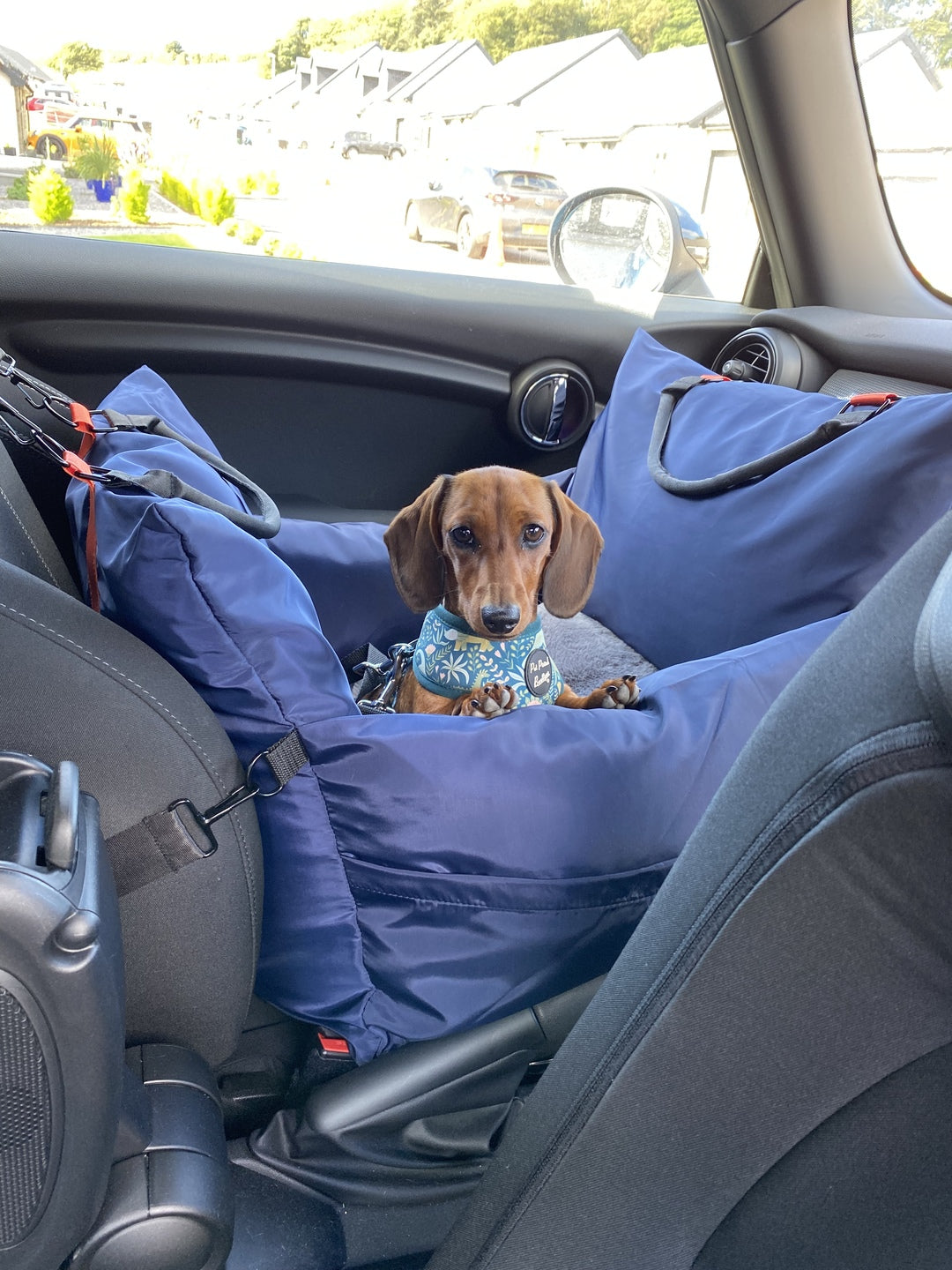 Look For These 6 Things When Buying A Dachshund Dog Car Seat
