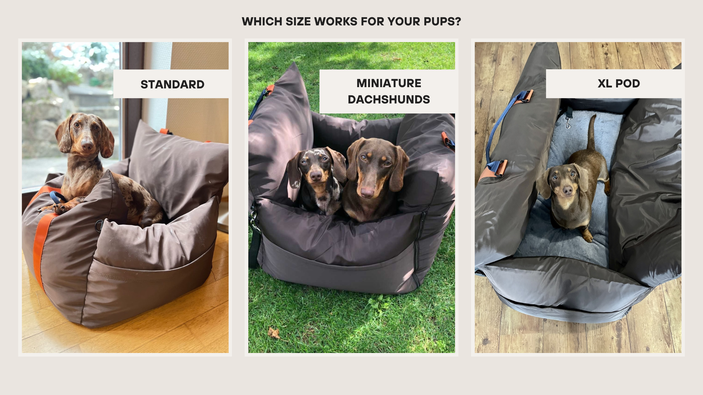 Size Guide to Dachshund Dog Car Seats: How to Choose the Best Fit for Your Daxi