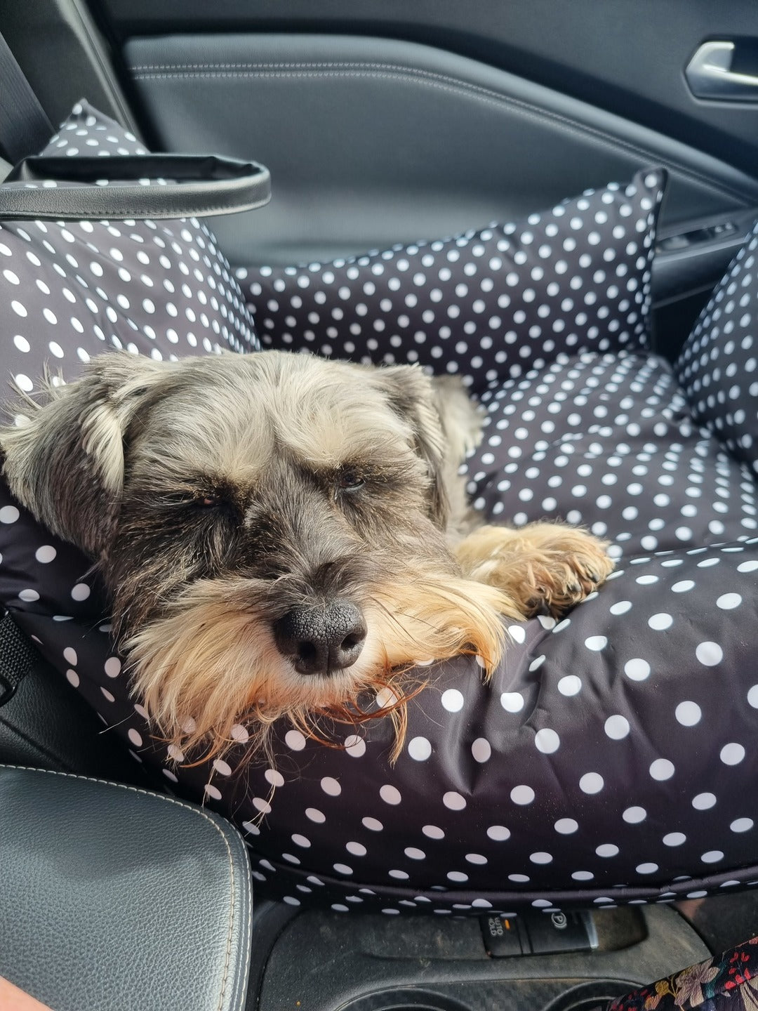 Why a Dog Car Bed Is the Best Option for Safe and Comfortable Travel