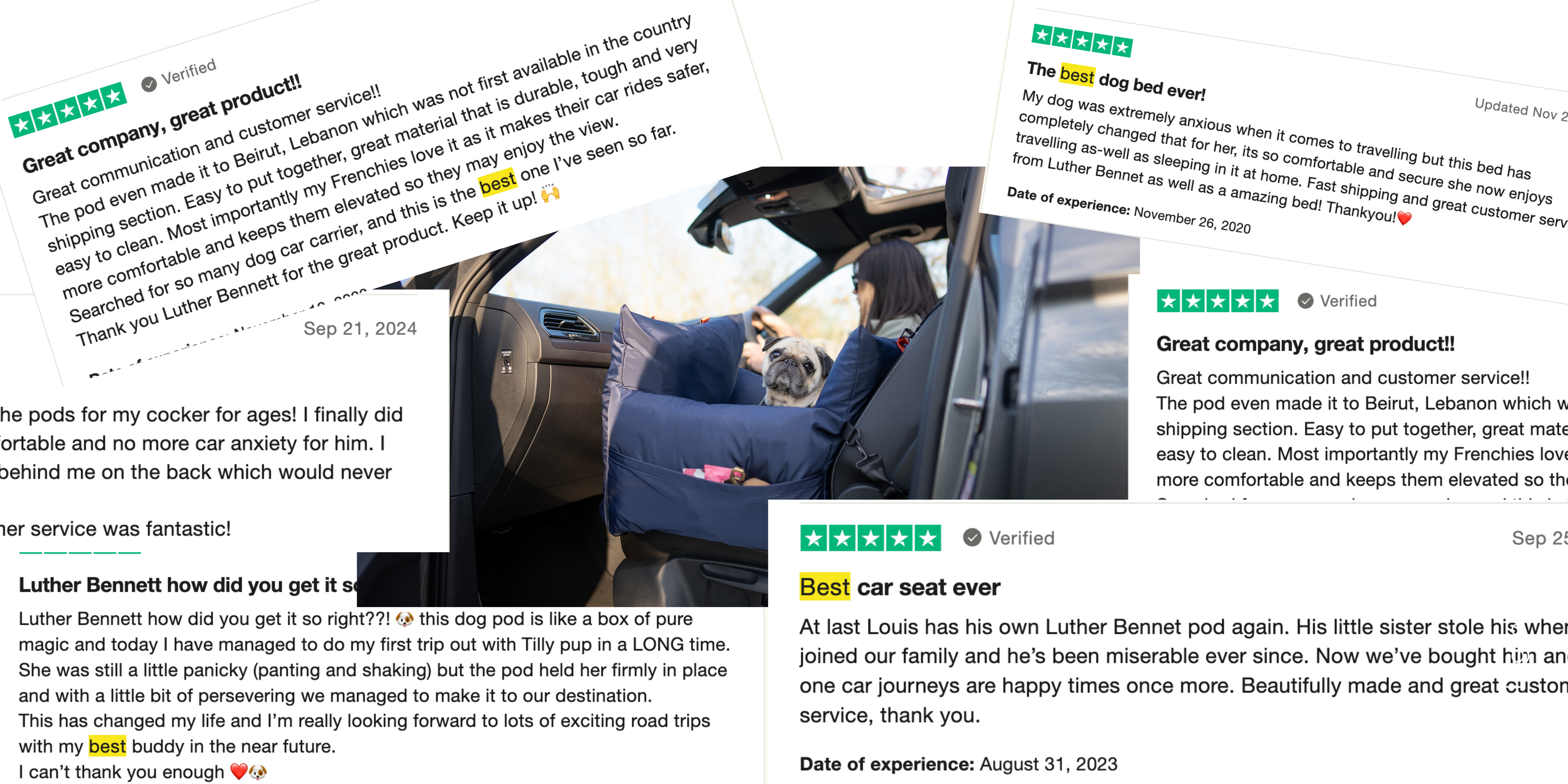 What Makes the Best Dog Car Seat? A Complete Buyer’s Guide