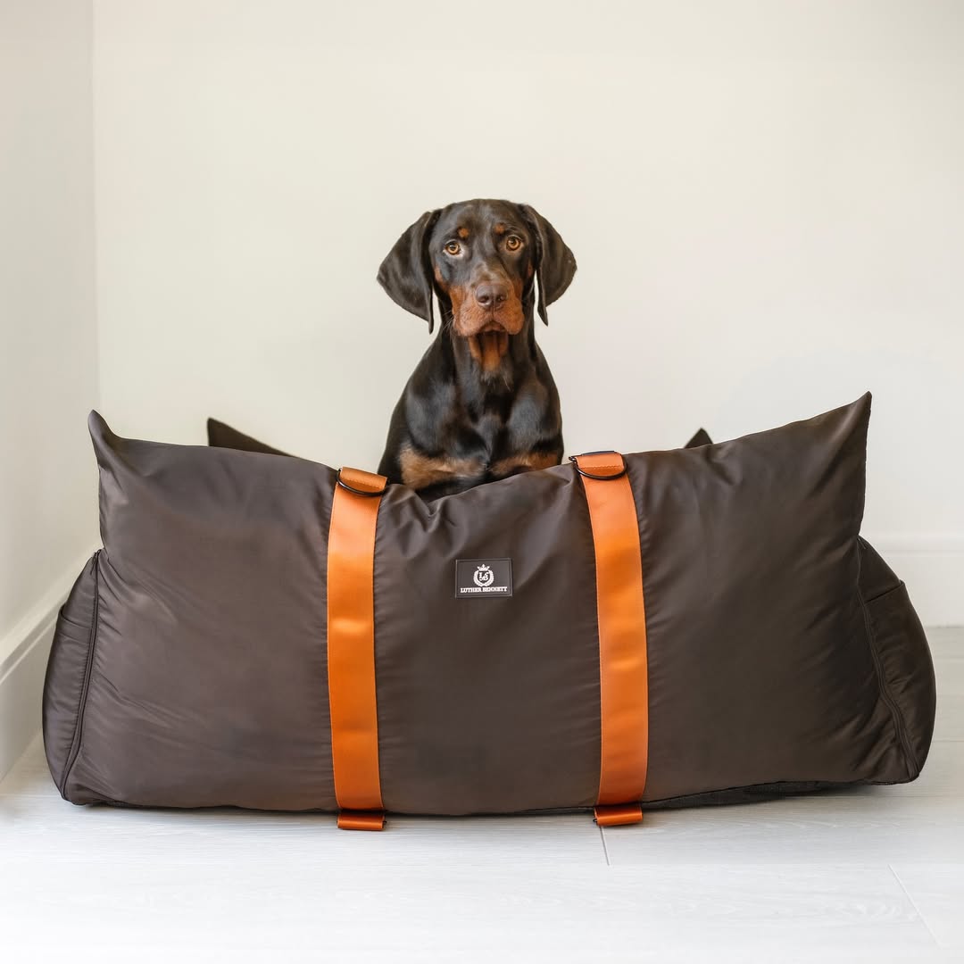 Dog Car Seat vs Crate vs Harness: Which Is Safest?