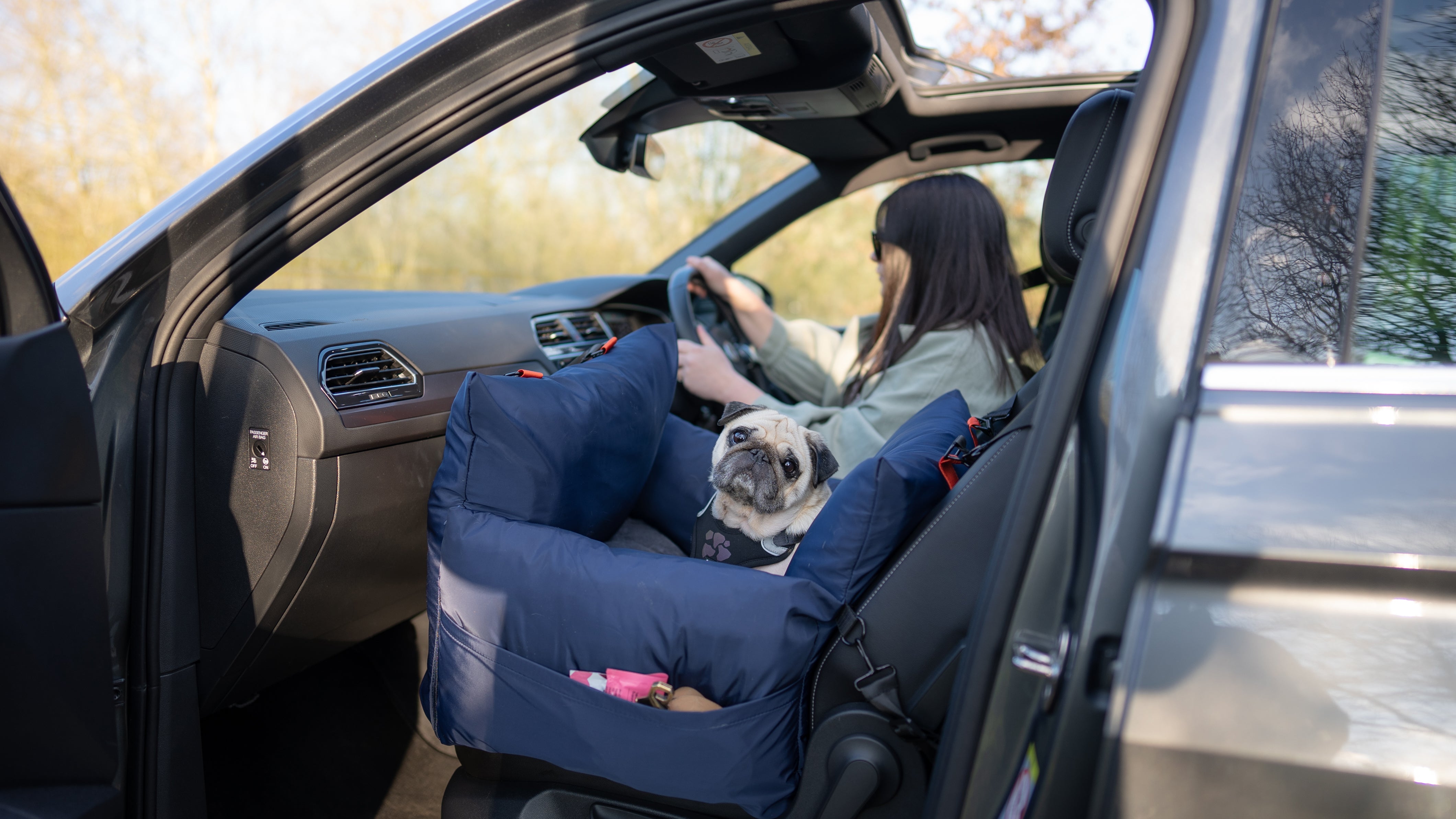 Dog Car Set | The Original Travel Dog Pod by Luther Bennett