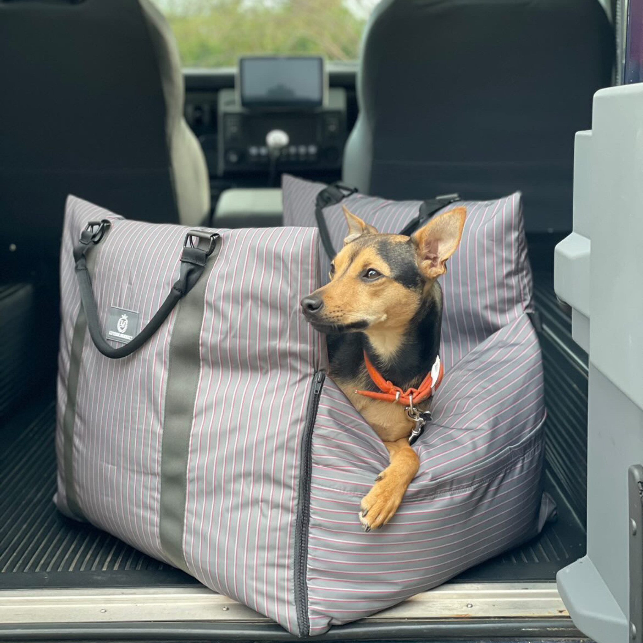 Travel Dog Pod - The Bond Limited Isofix Edition