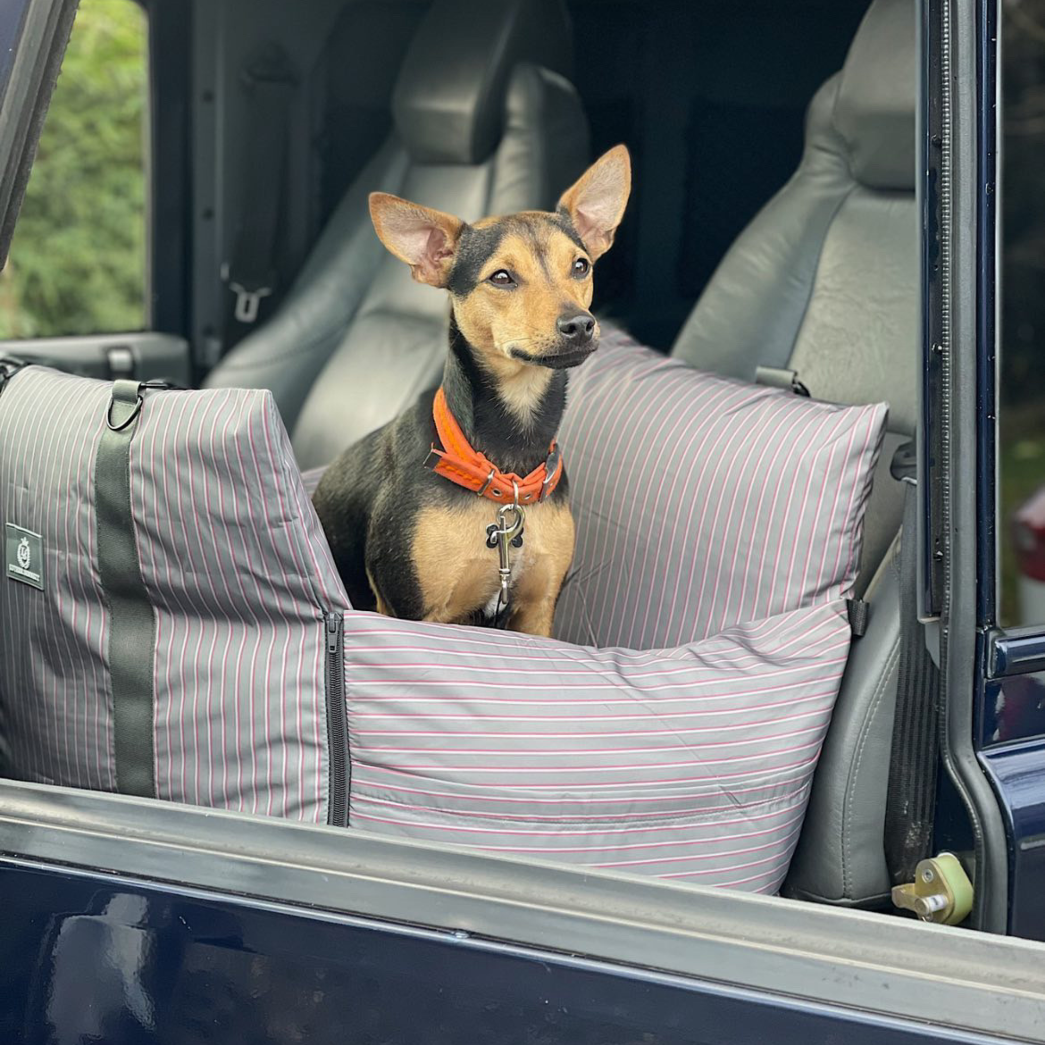 Travel Dog Pod - The Bond Limited Isofix Edition