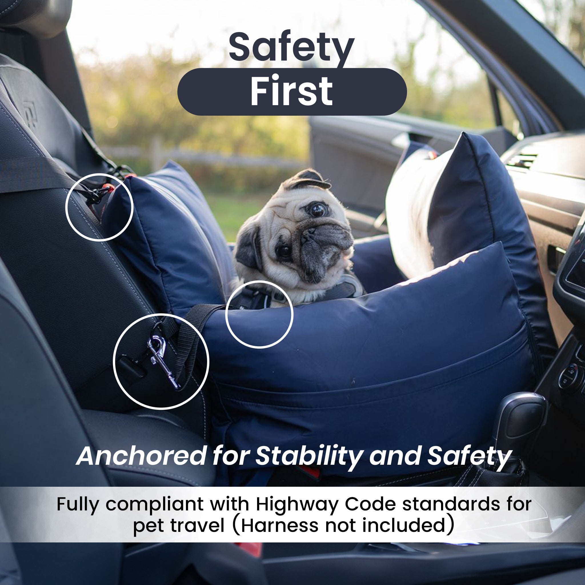 Travel Dog Pod 2.0 - Now With IsoFix