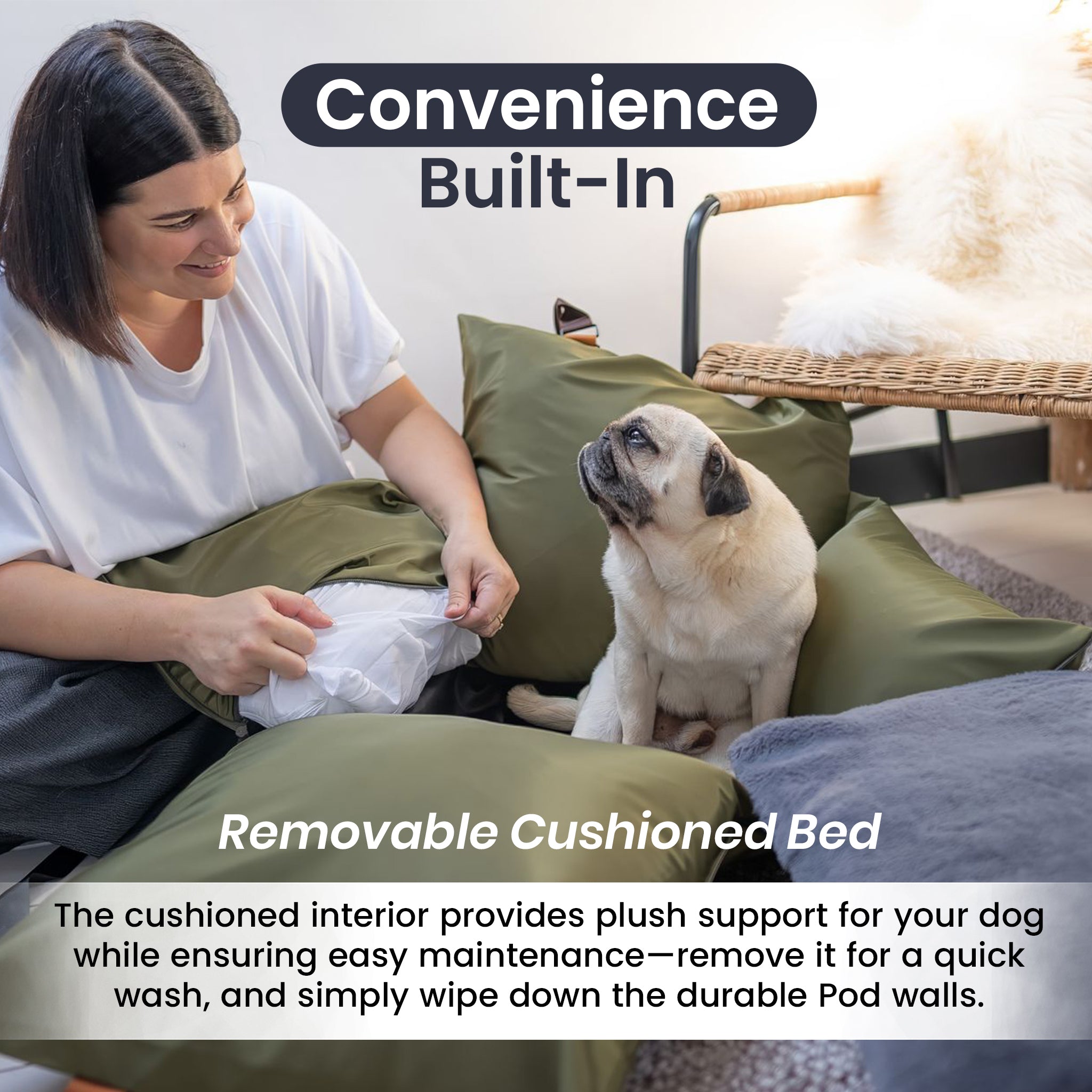 Travel Dog Pod 2.0 - Now With IsoFix