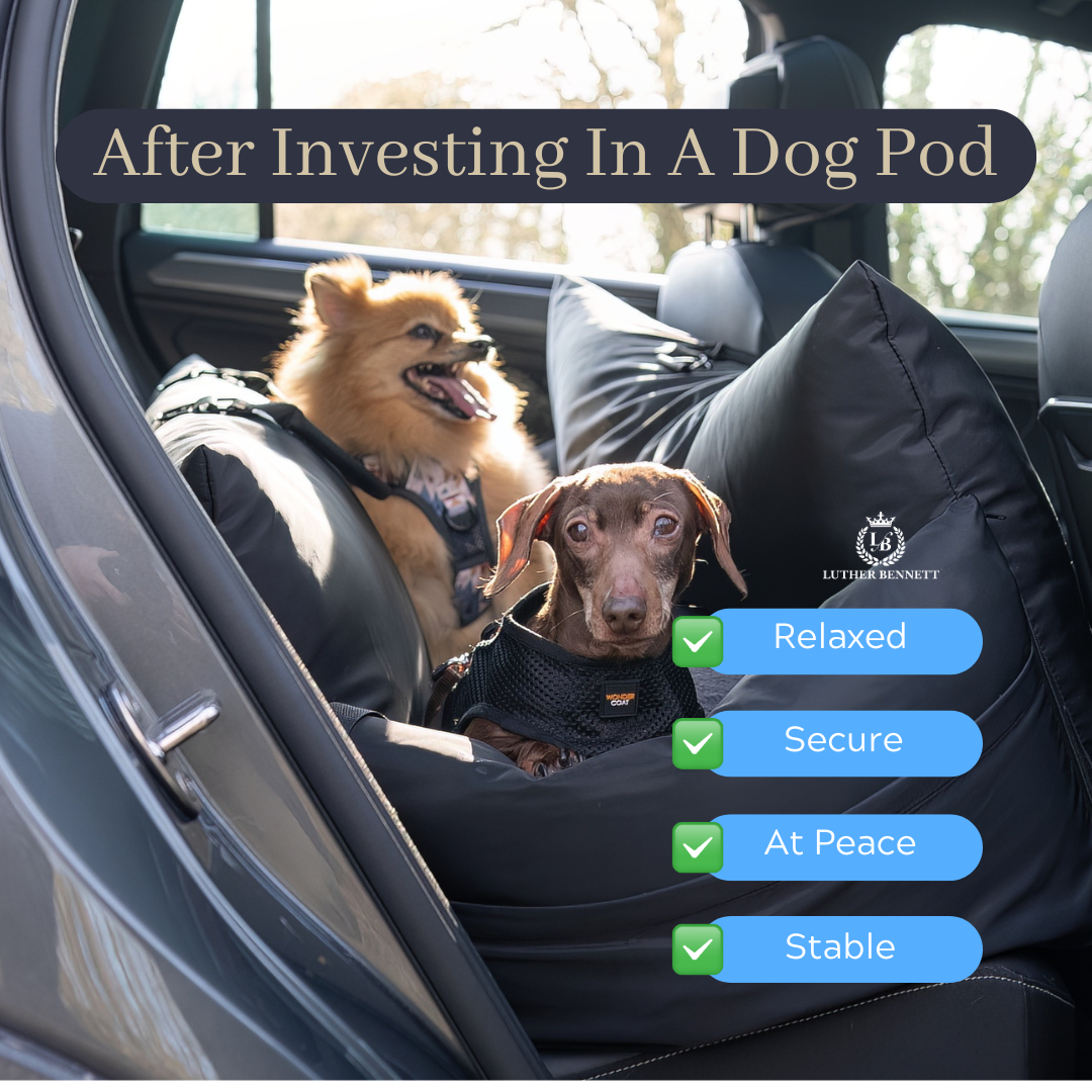 Shop Car Seats For Dogs