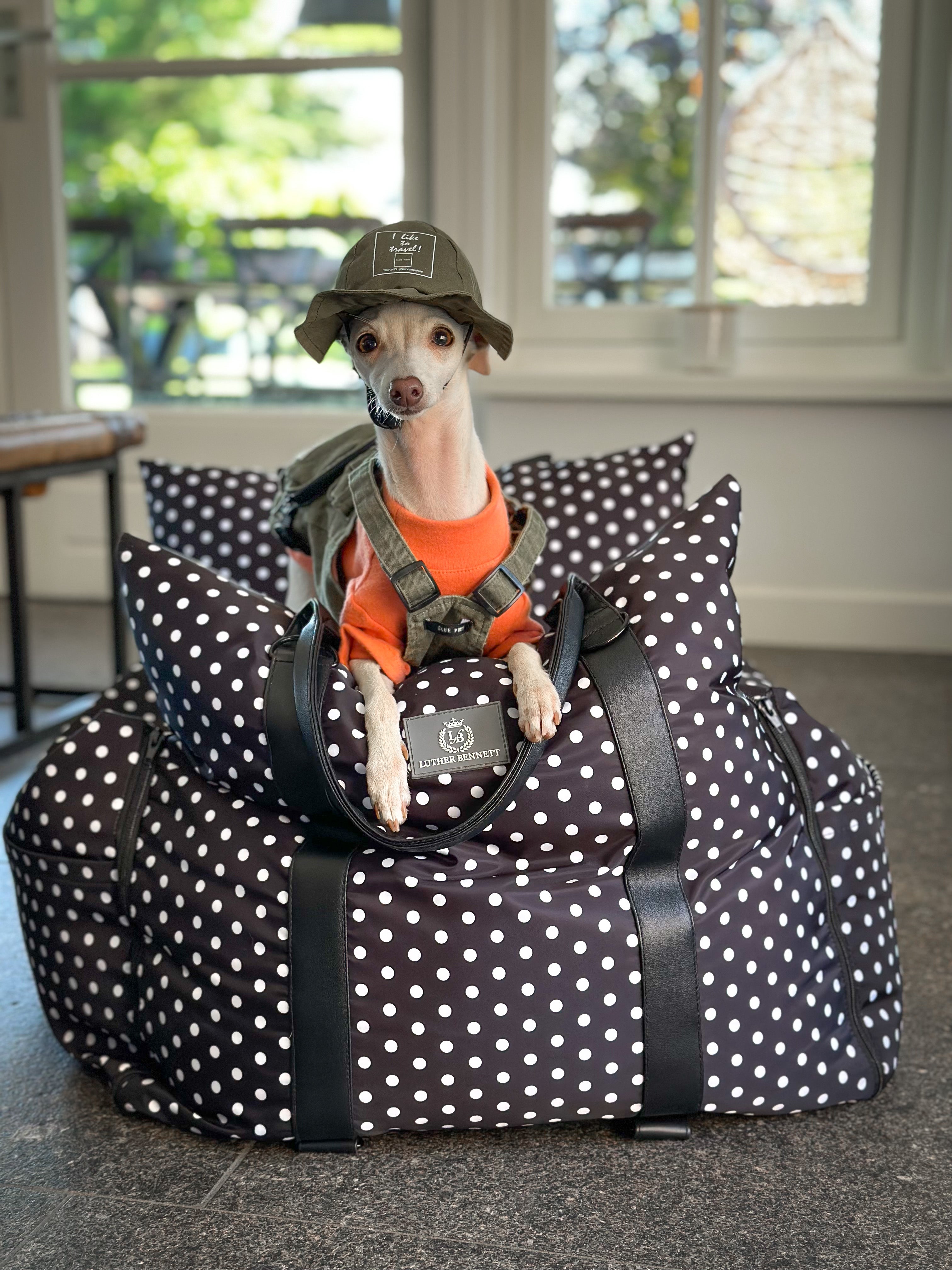 Travel Dog Pod - Reloved