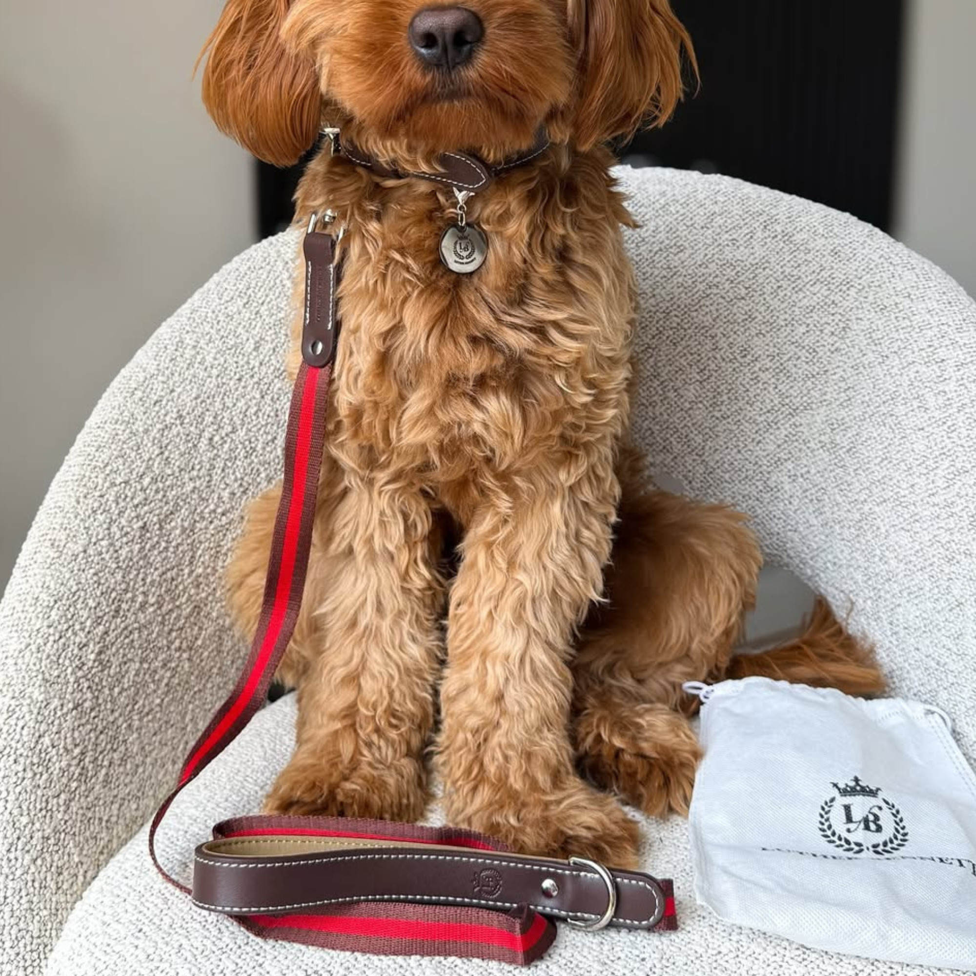Cooper Collar & Leash Set