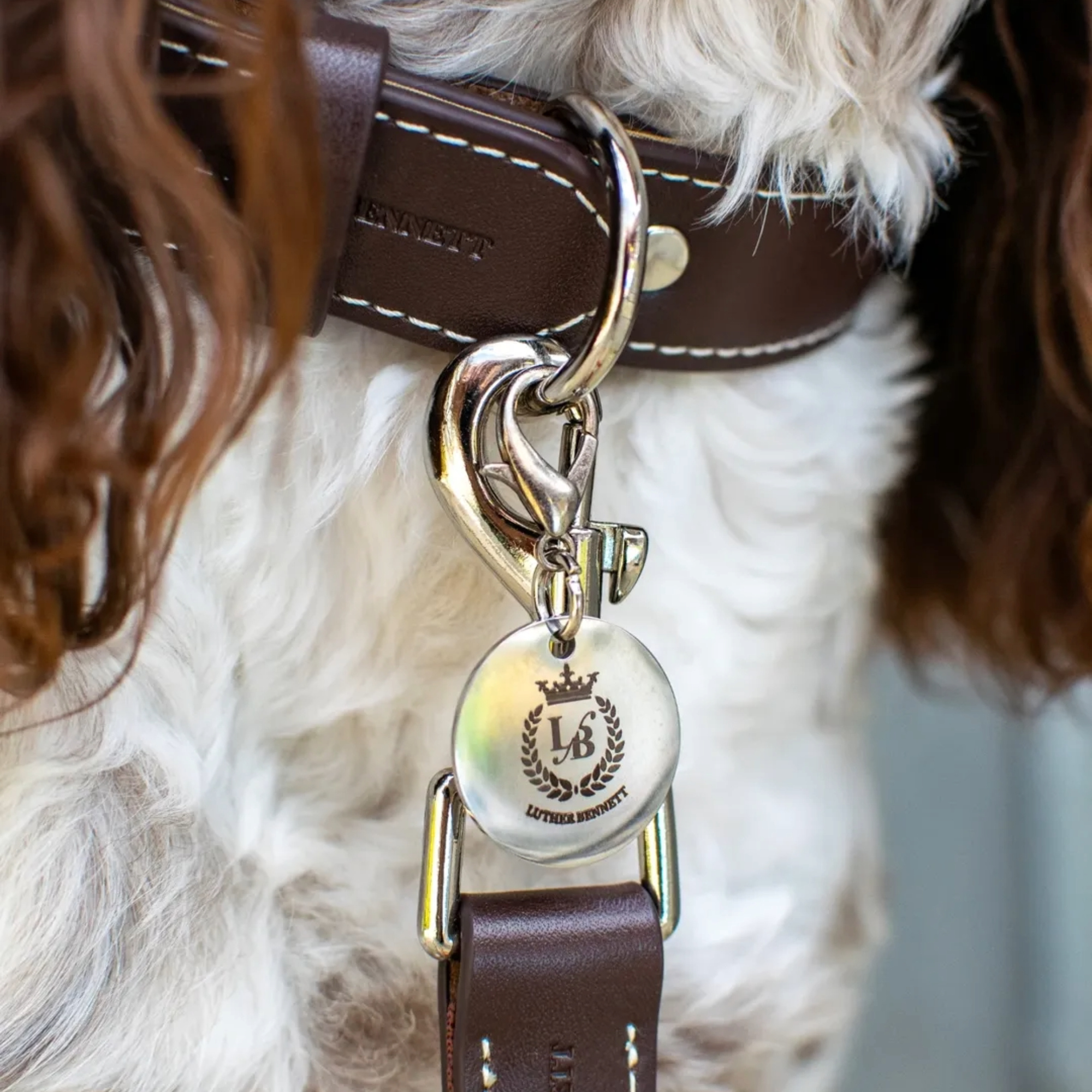 Cooper Collar & Leash Set