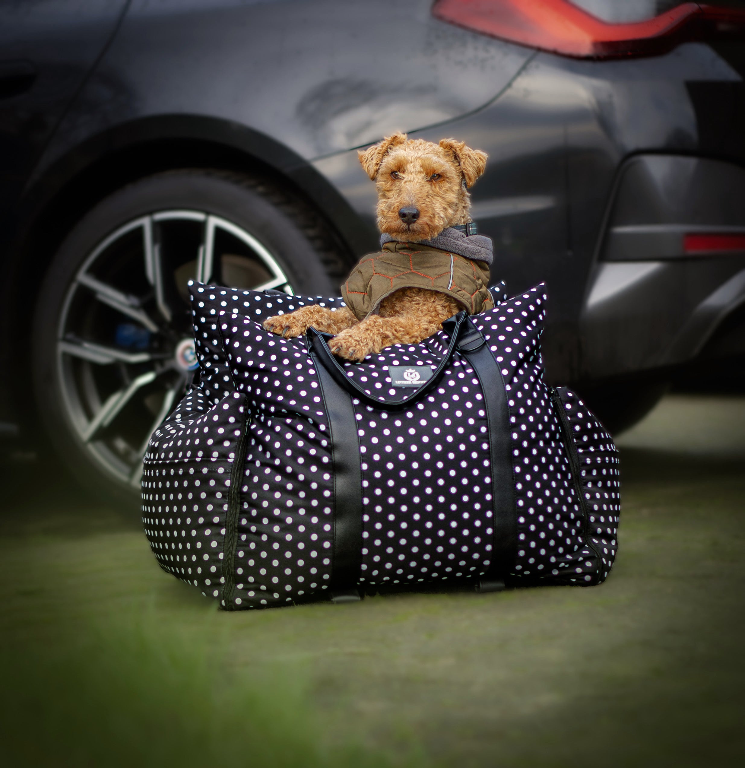 Travel Dog Pod - The Monroe Limited Isofix Edition