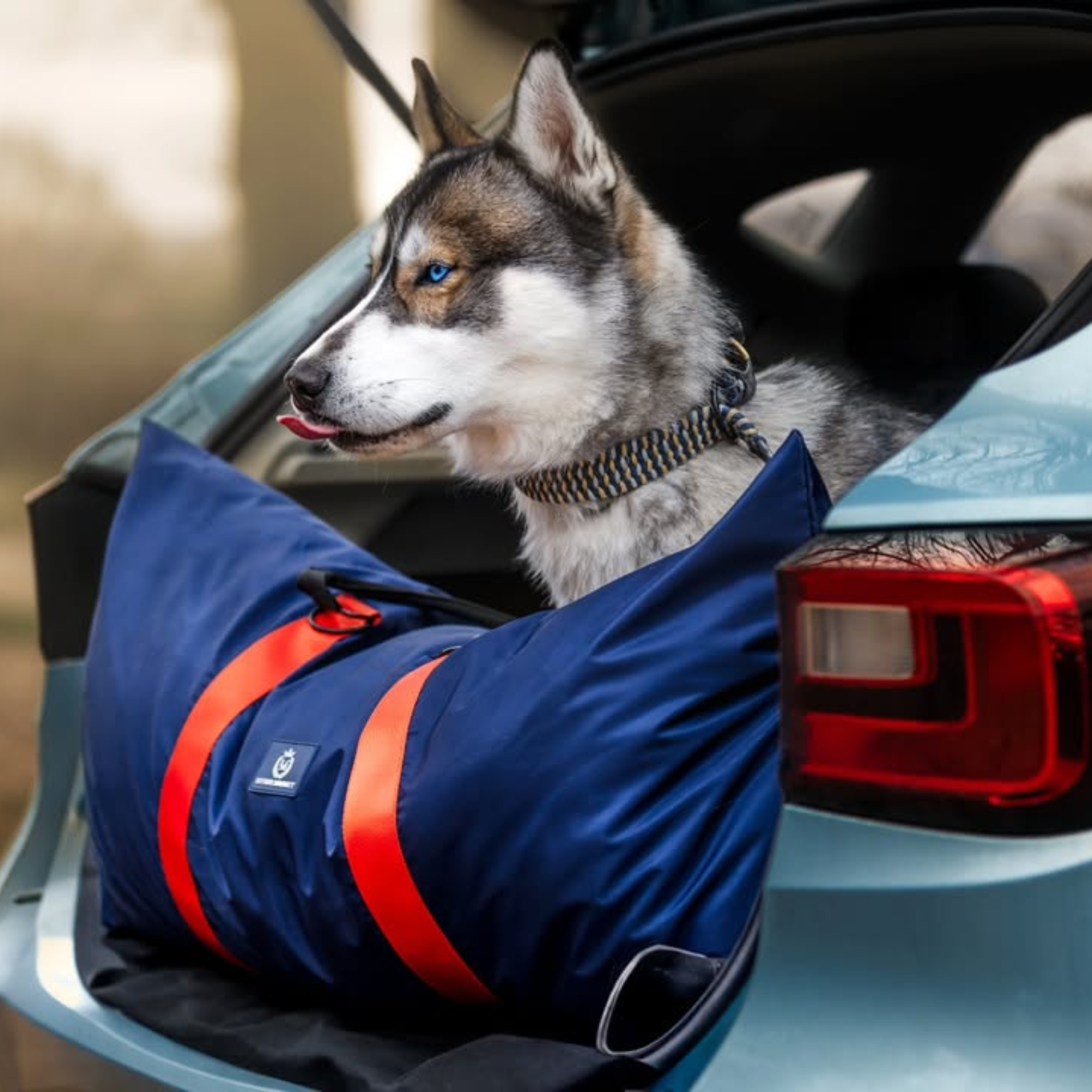 Travel Dog Pod For Large Breeds ISOFIX Dog Car Seat Travel Bed