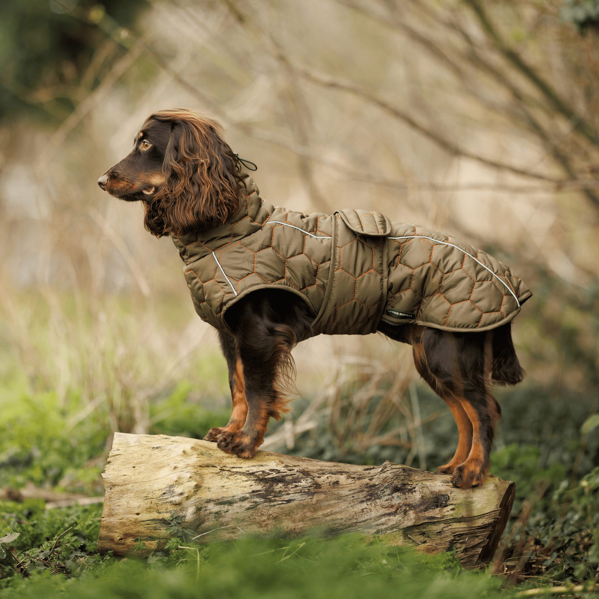 Honey Comb Dog Coat1