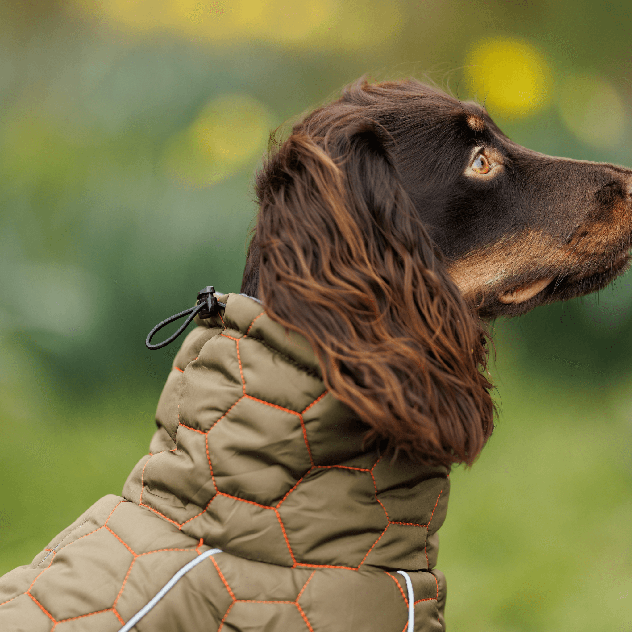 Honey Comb Winter/Spring Water Proof Dog Coat - Luther Bennett