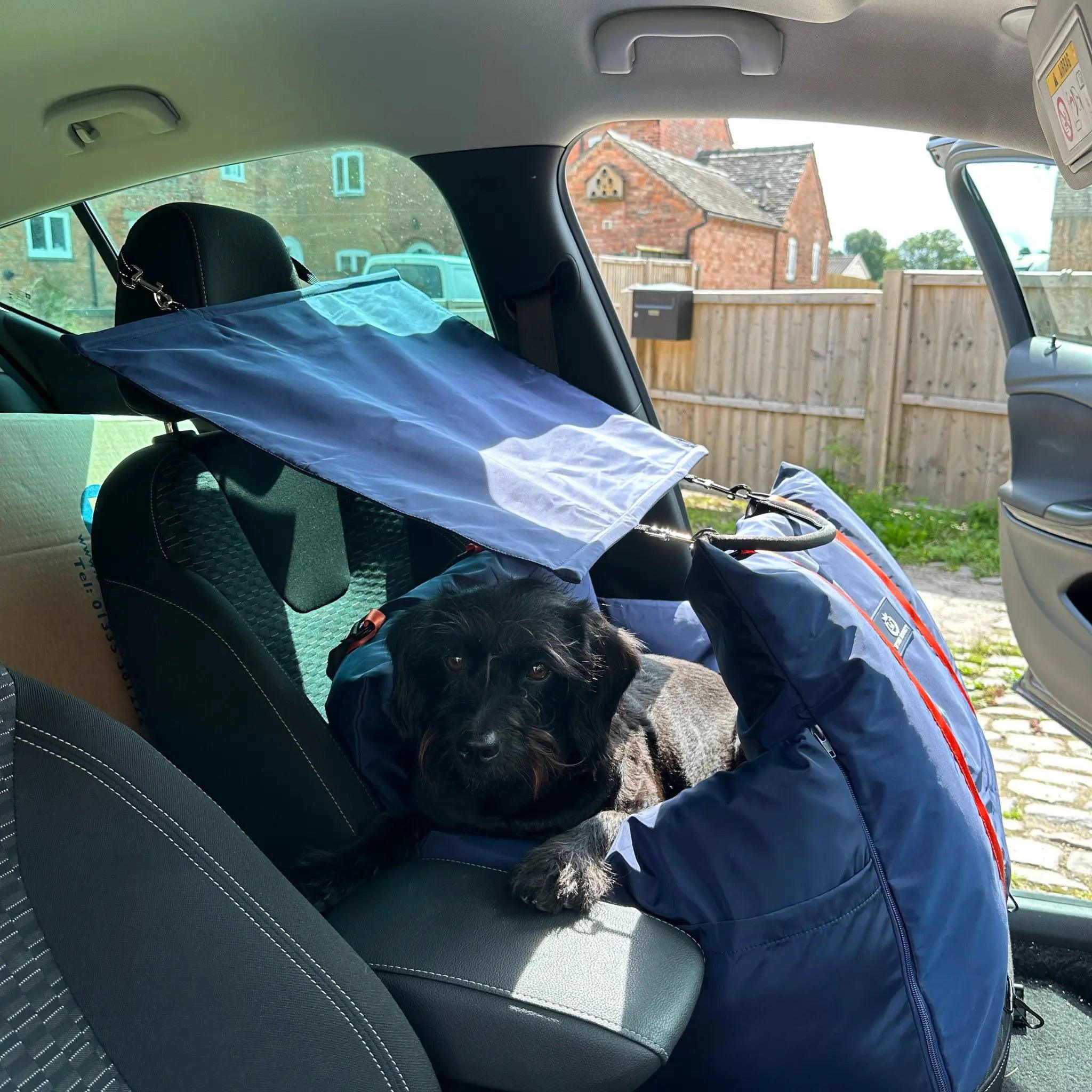 Sunshade - Dog Pod Plus - Luther Bennett