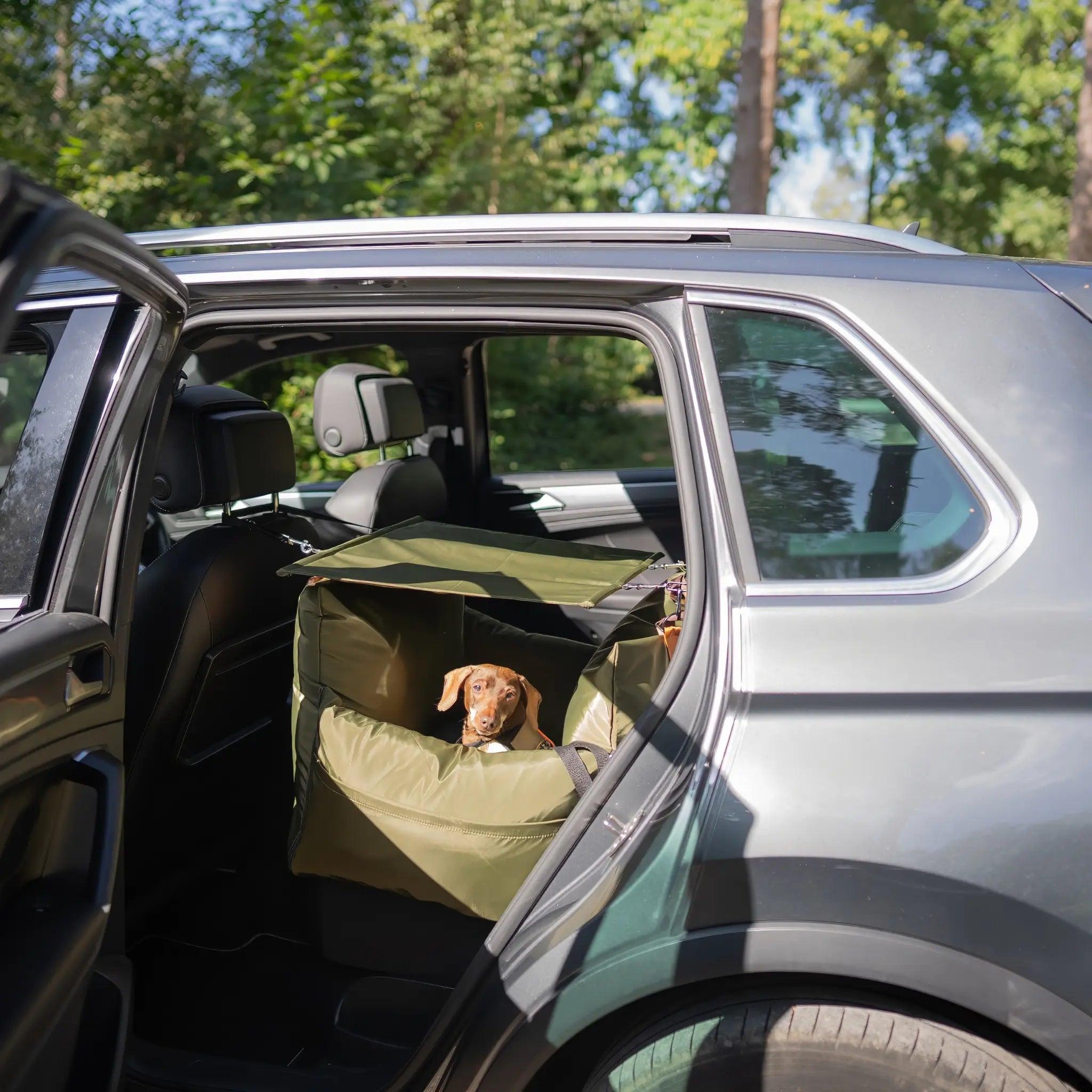 Sunshade - Dog Pod Plus - Luther Bennett