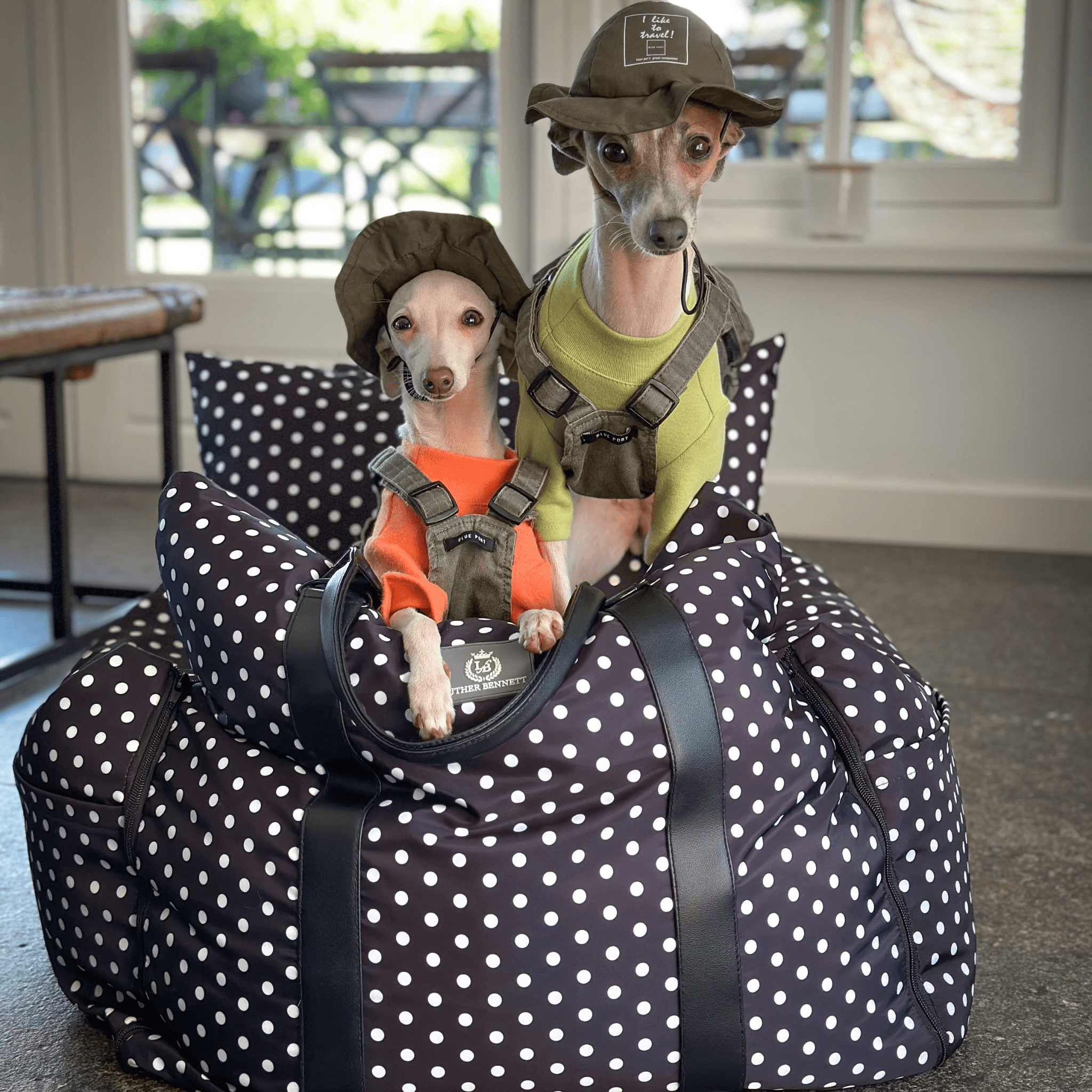 The Monroe - Travel Dog Pod - Luther Bennett