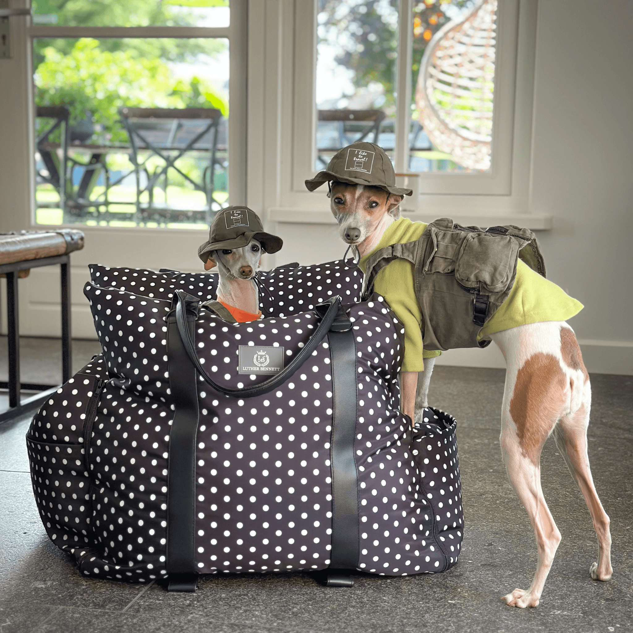 The Monroe - Travel Dog Pod - Luther Bennett
