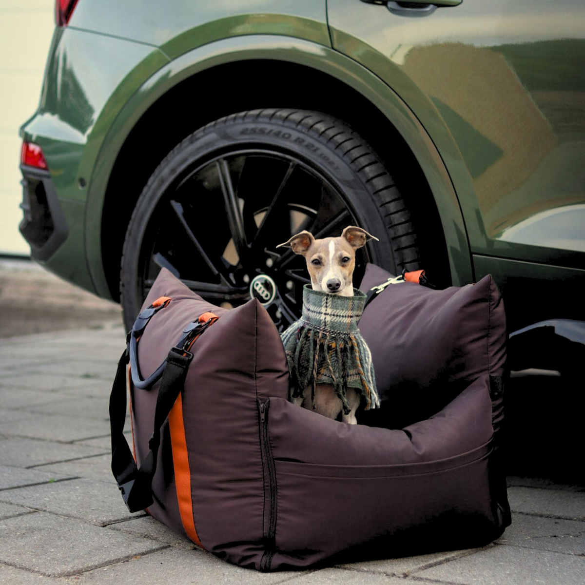 Coffee Travel Dog Pod, Classic