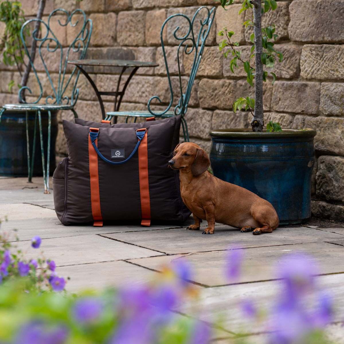 Coffee Travel Dog Pod, Classic