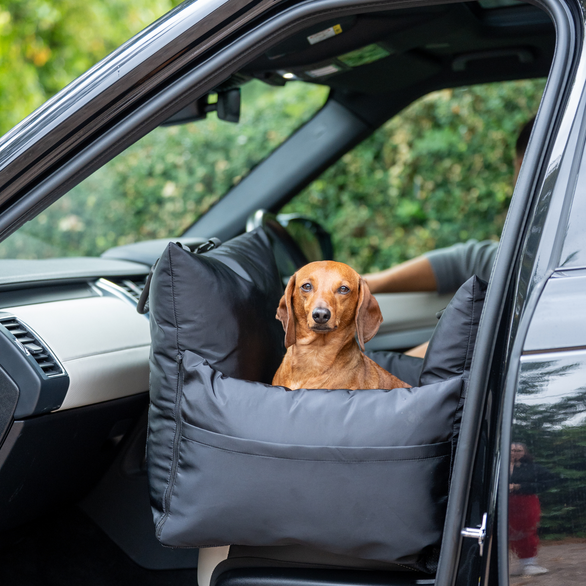 Diesel Travel Dog Pod, Classic