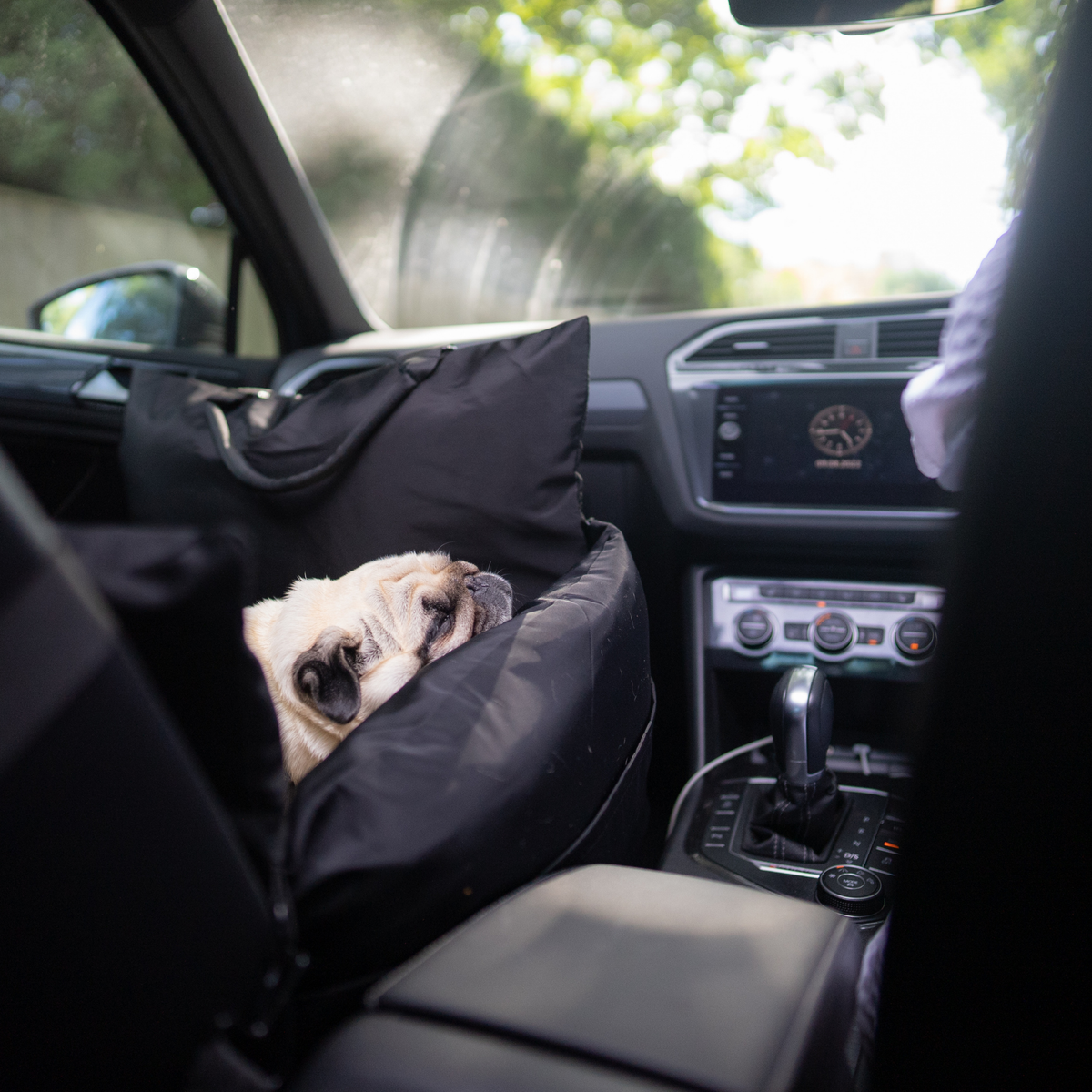Diesel Travel Dog Pod, Classic