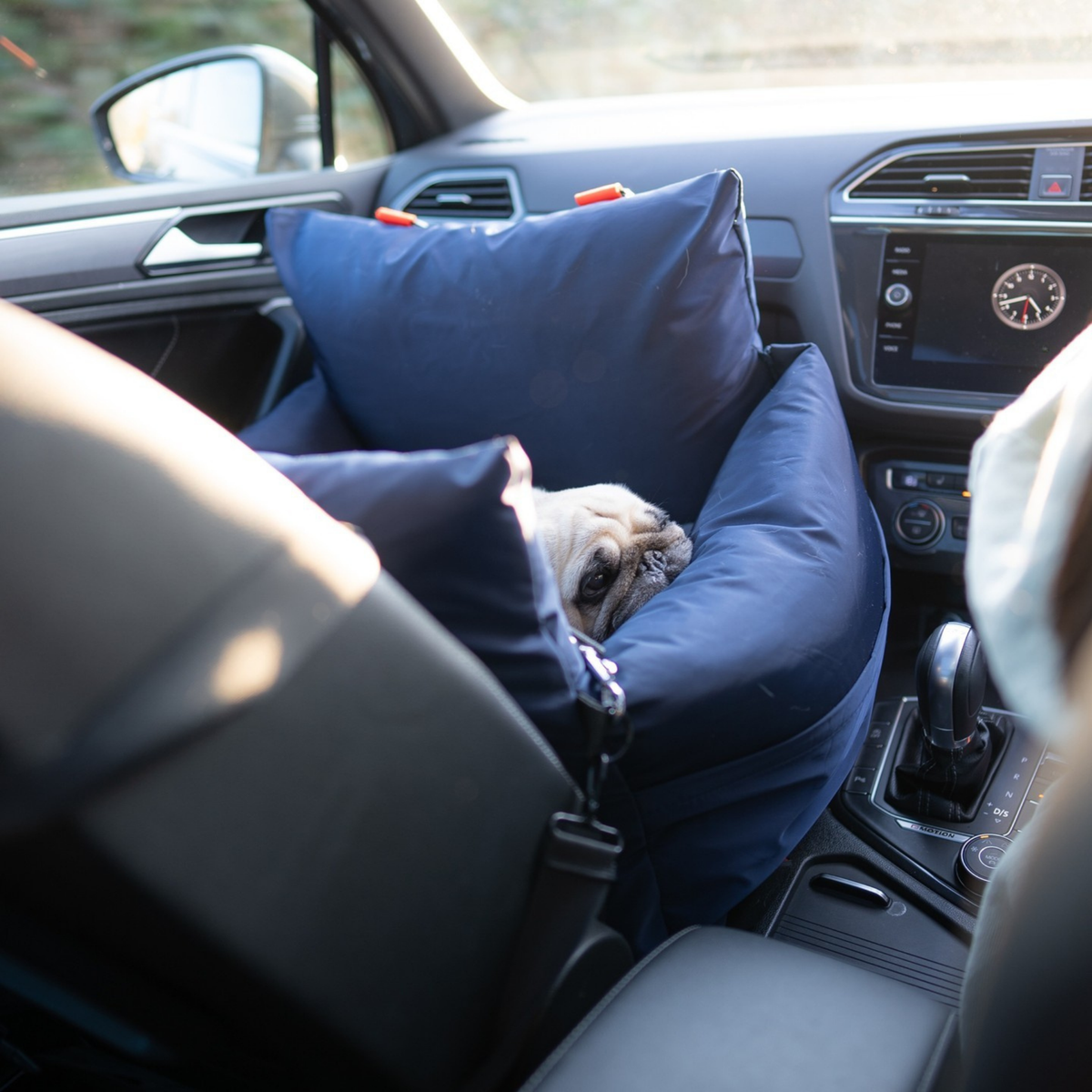 Midnight Travel Dog Pod, Classic