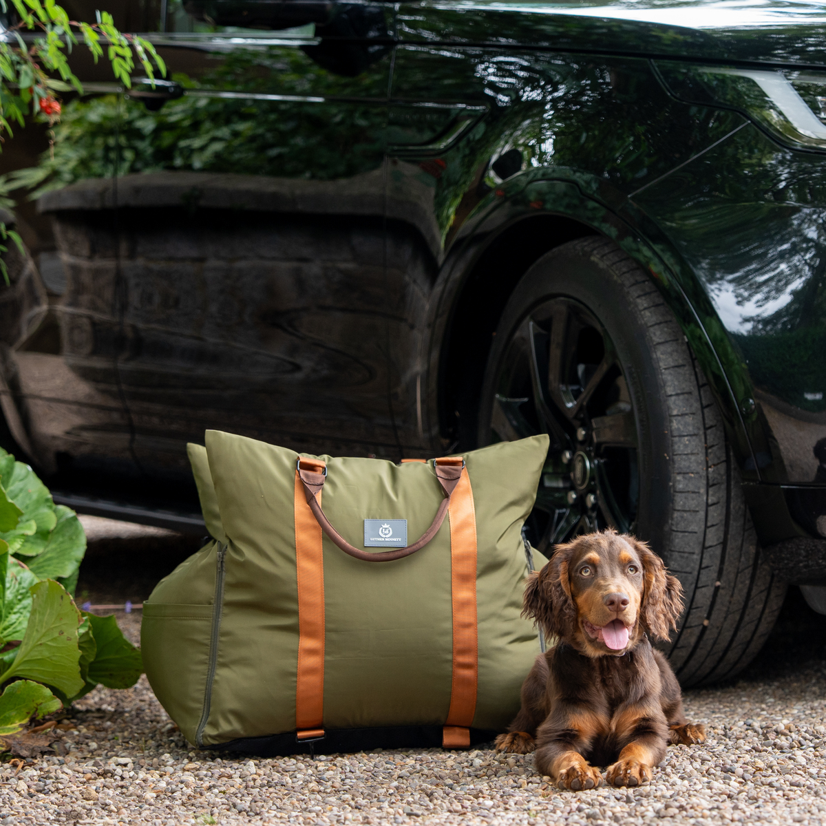 Olive Travel Dog Pod, Classic