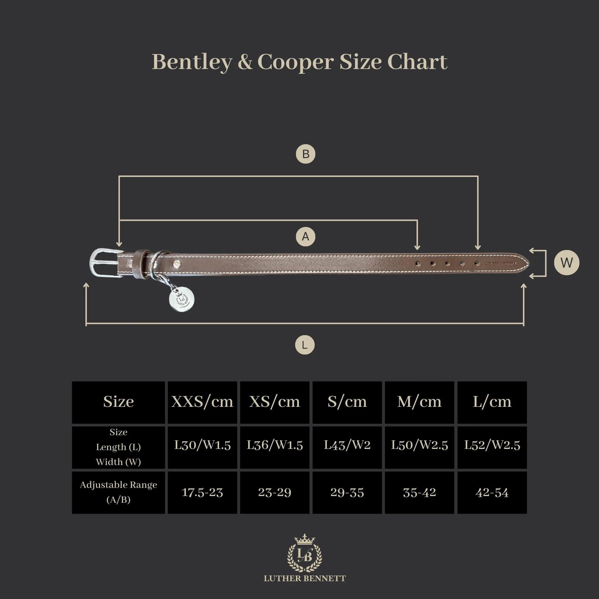 Bentley Collar & Leash Set - Luther Bennett