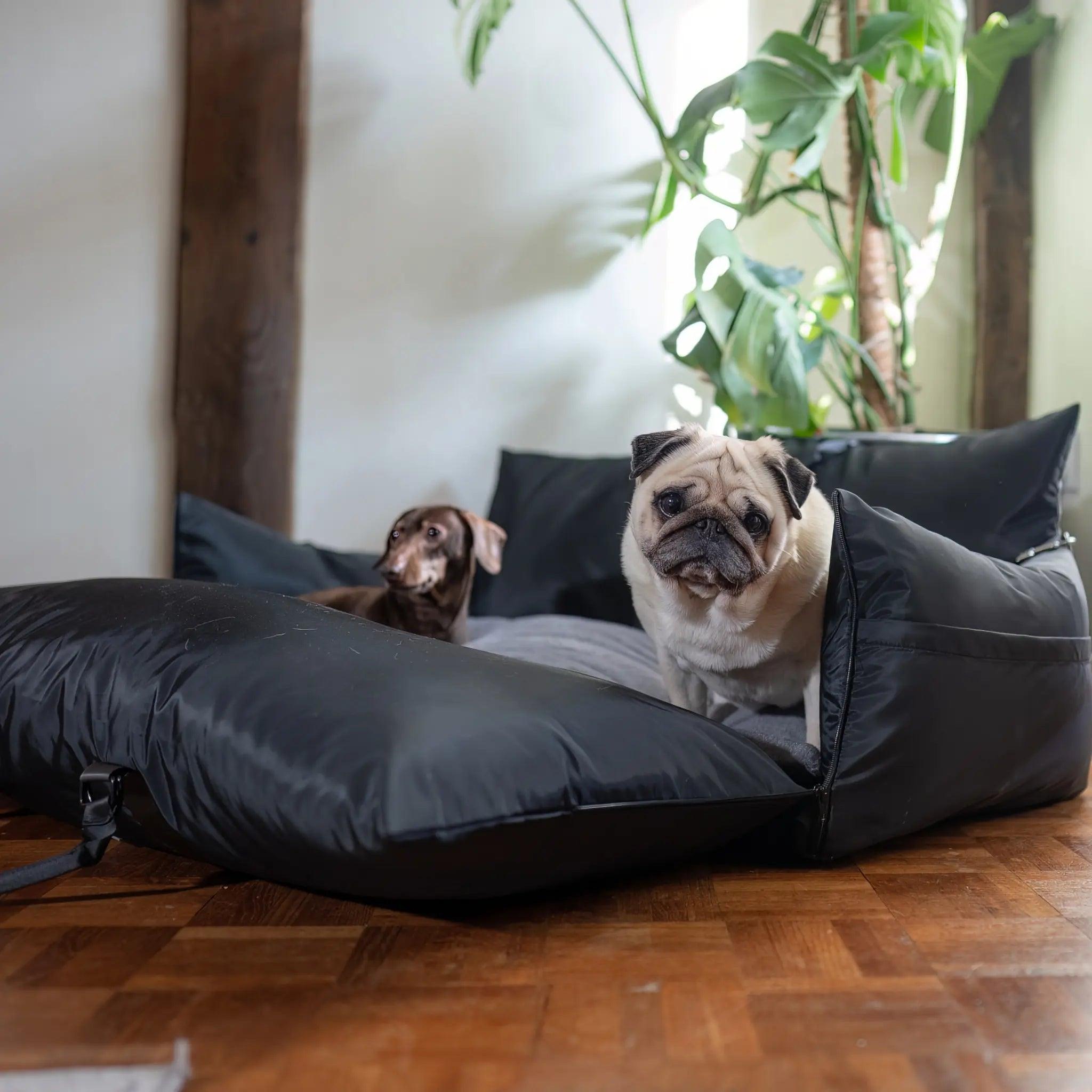 XL Pet Pod - Luther Bennett