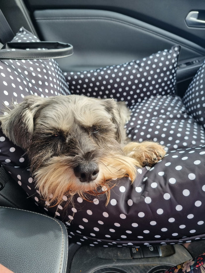 Why a Dog Car Bed Is the Best Option for Safe and Comfortable Travel
