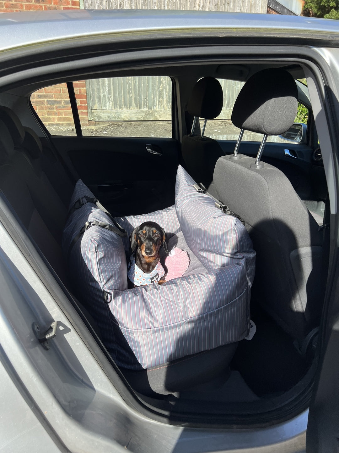 Dog Car Seat Recommendations For Dachshunds with IVDD