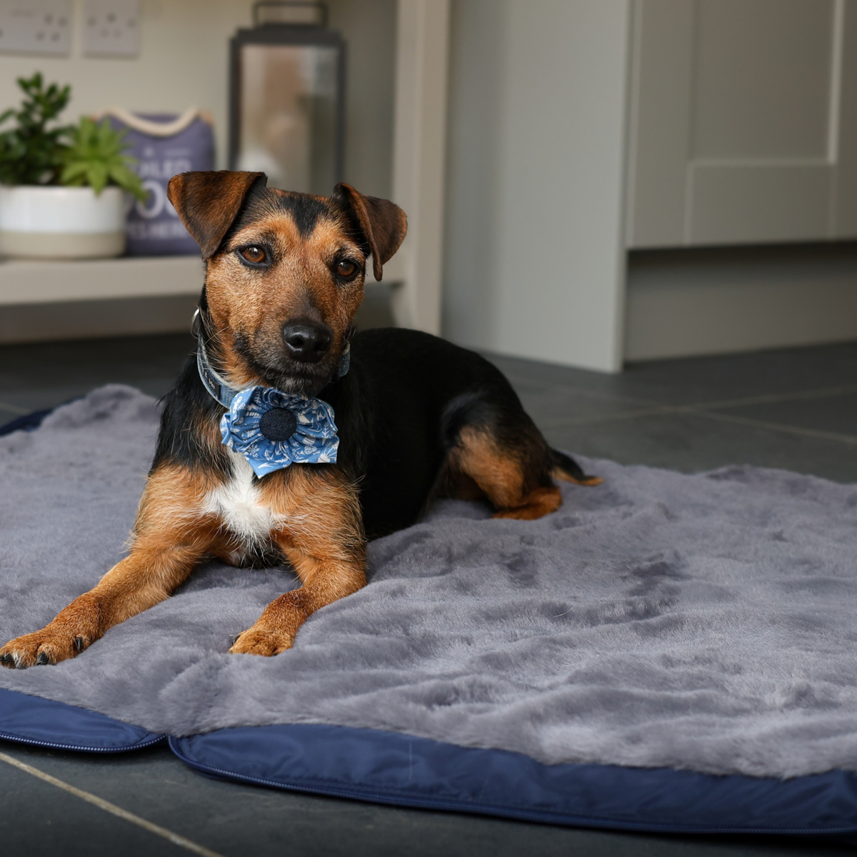 Luther Lounger