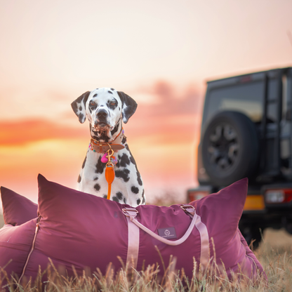 Travel Dog Pod - Rosewood