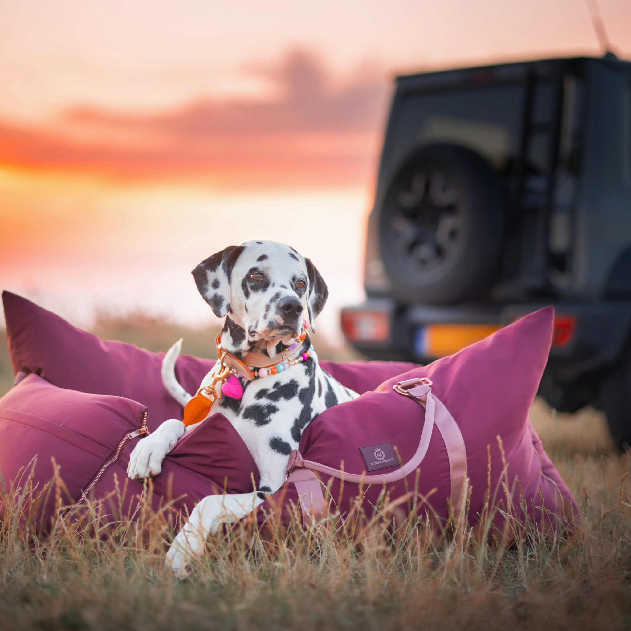 Travel Dog Pod - Rosewood