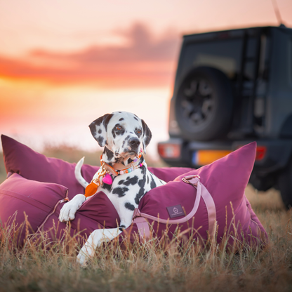 Travel Dog Pod - Rosewood