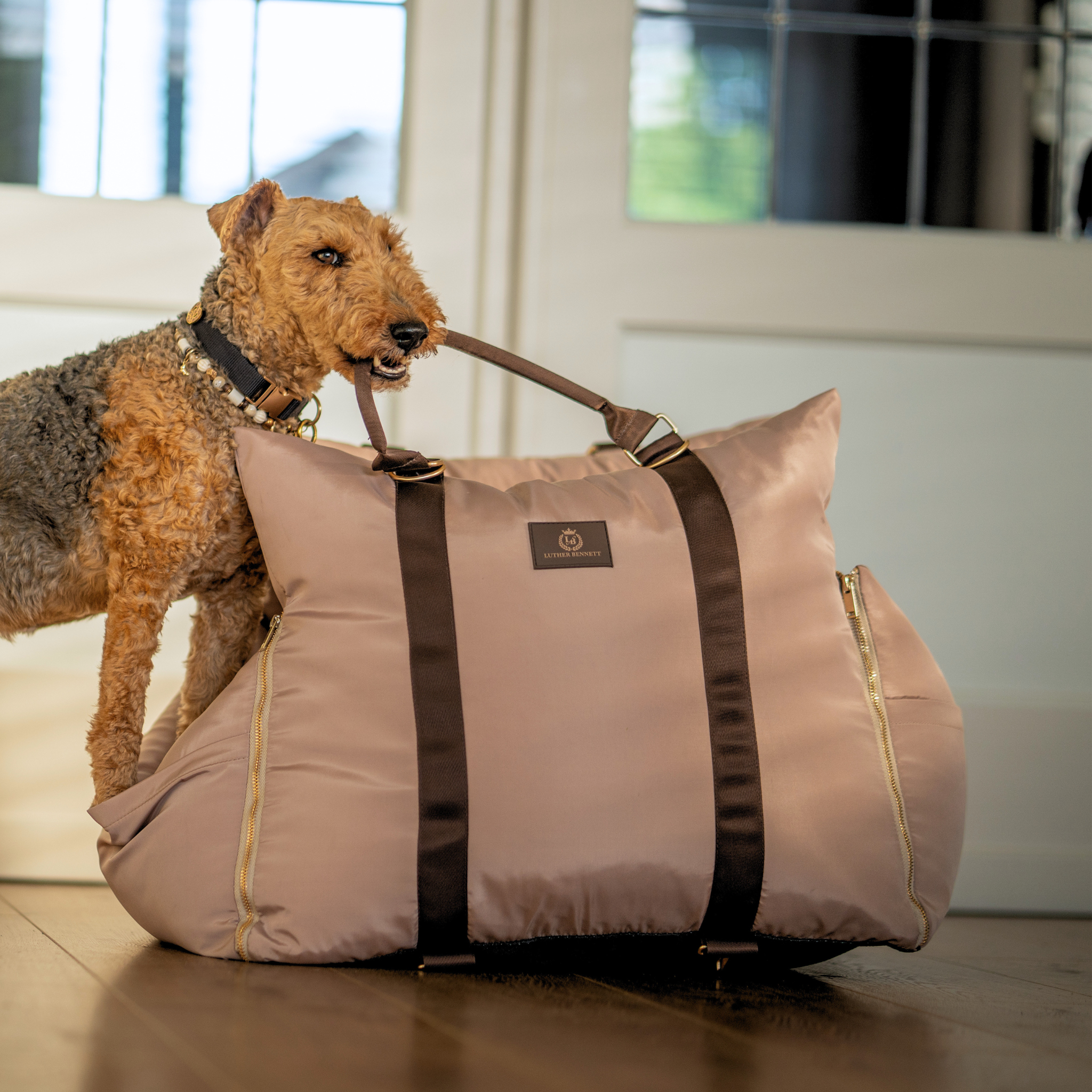 Travel Dog Pod - Hazelnut
