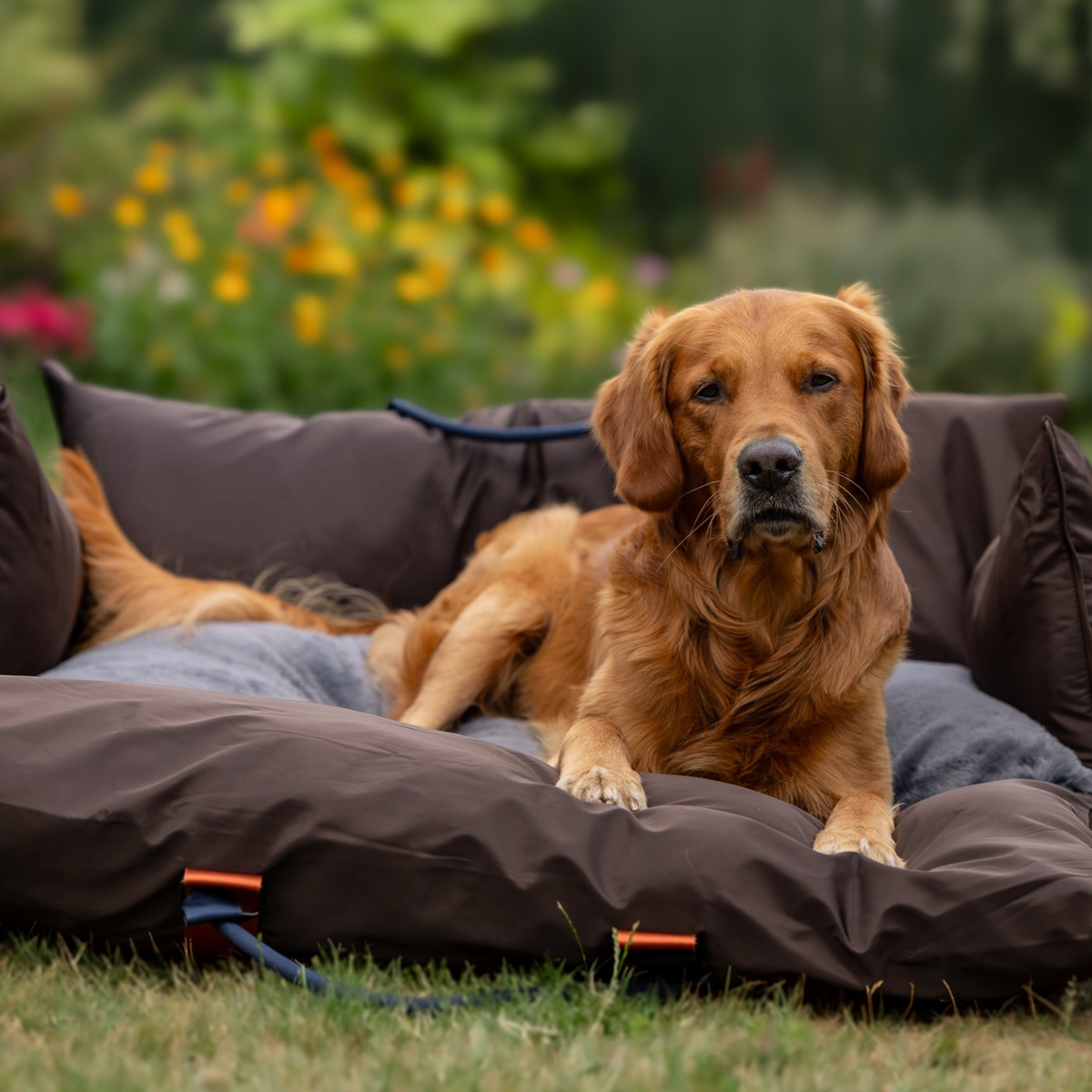Travel Dog Pod XL