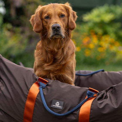 Travel Dog Pod XL