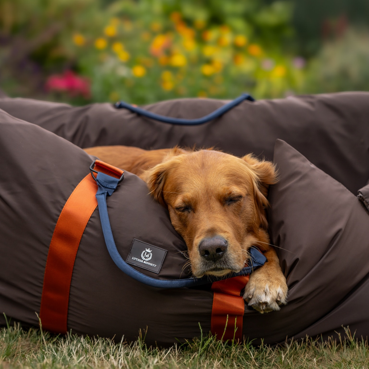 Travel Dog Pod XL