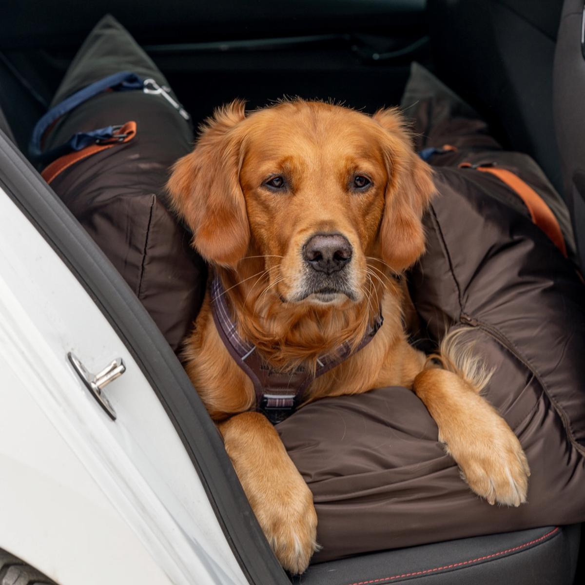 Travel Dog Pod XL