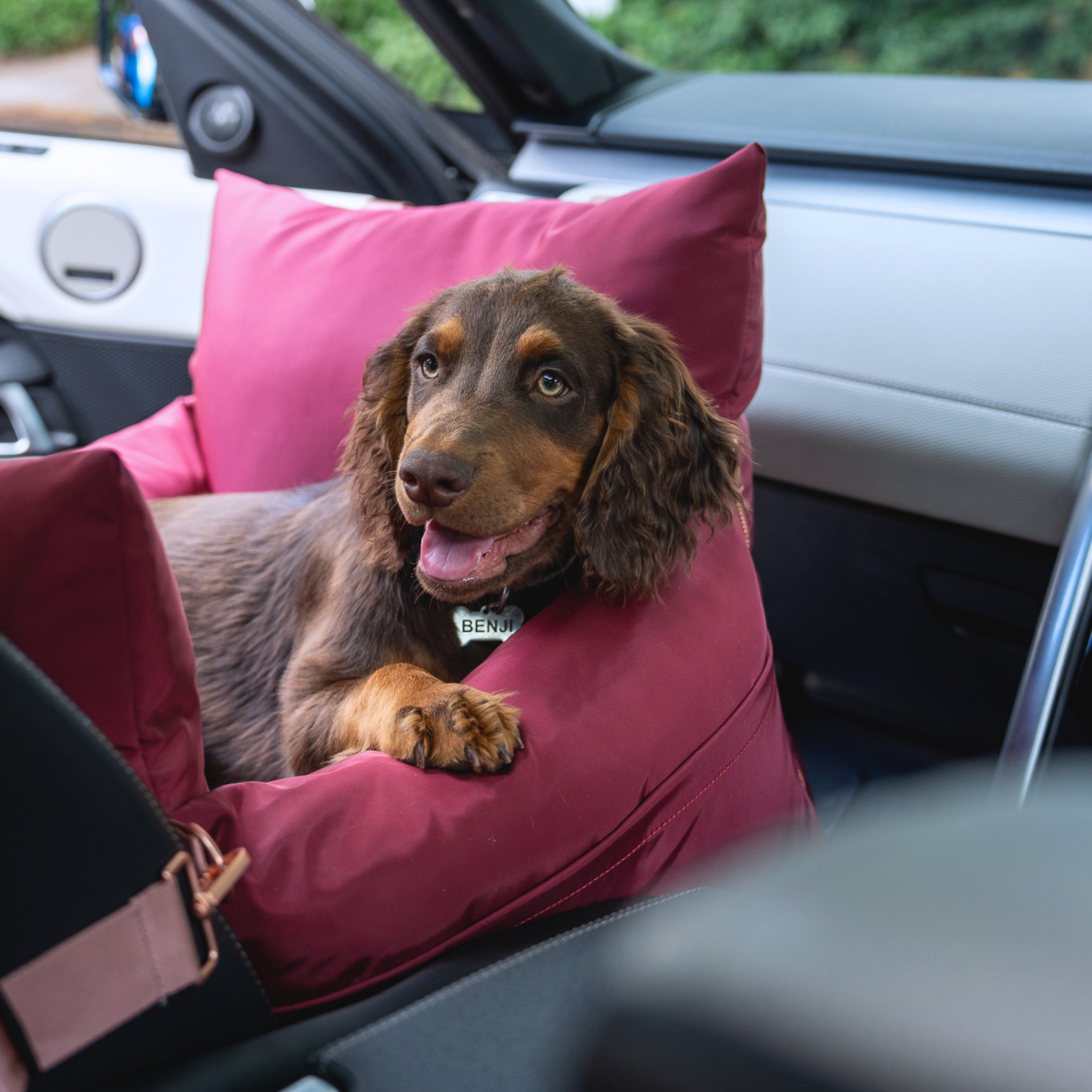 Travel Dog Pod - Rosewood