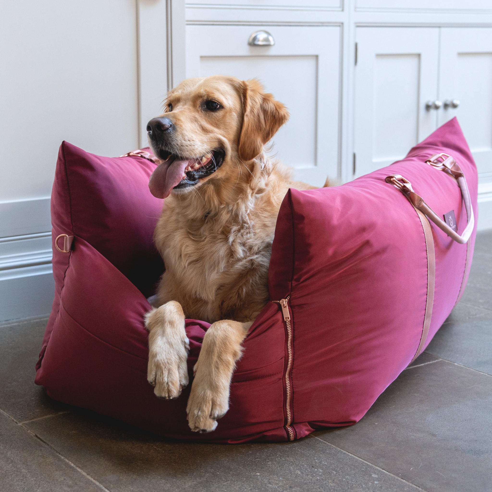 Travel Dog Pod - Rosewood
