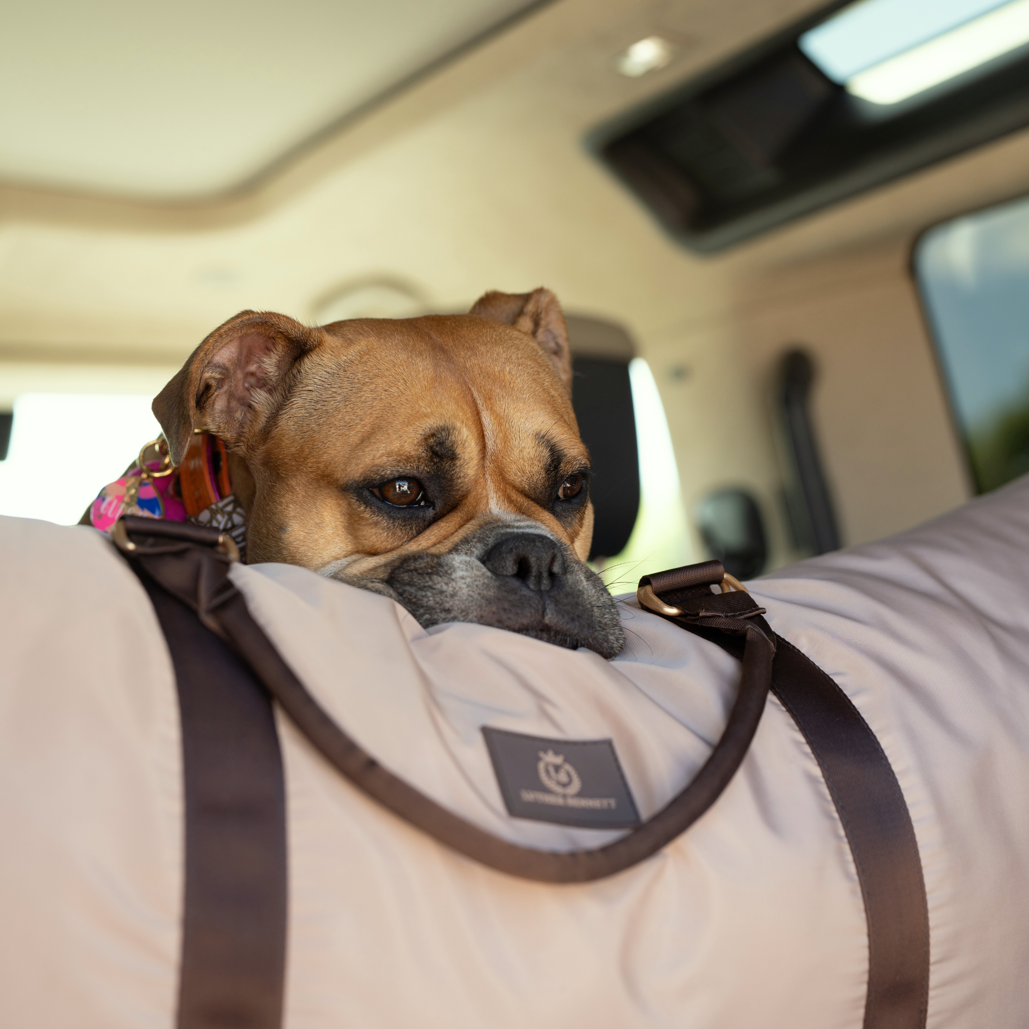 Travel Dog Pod - Hazelnut