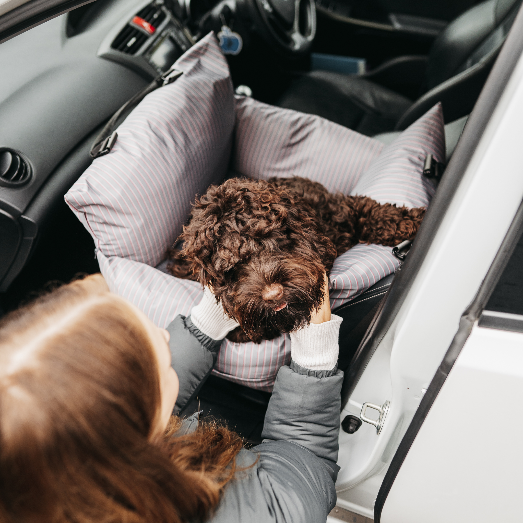 Travel Dog Pod - The Bond Limited Isofix Edition