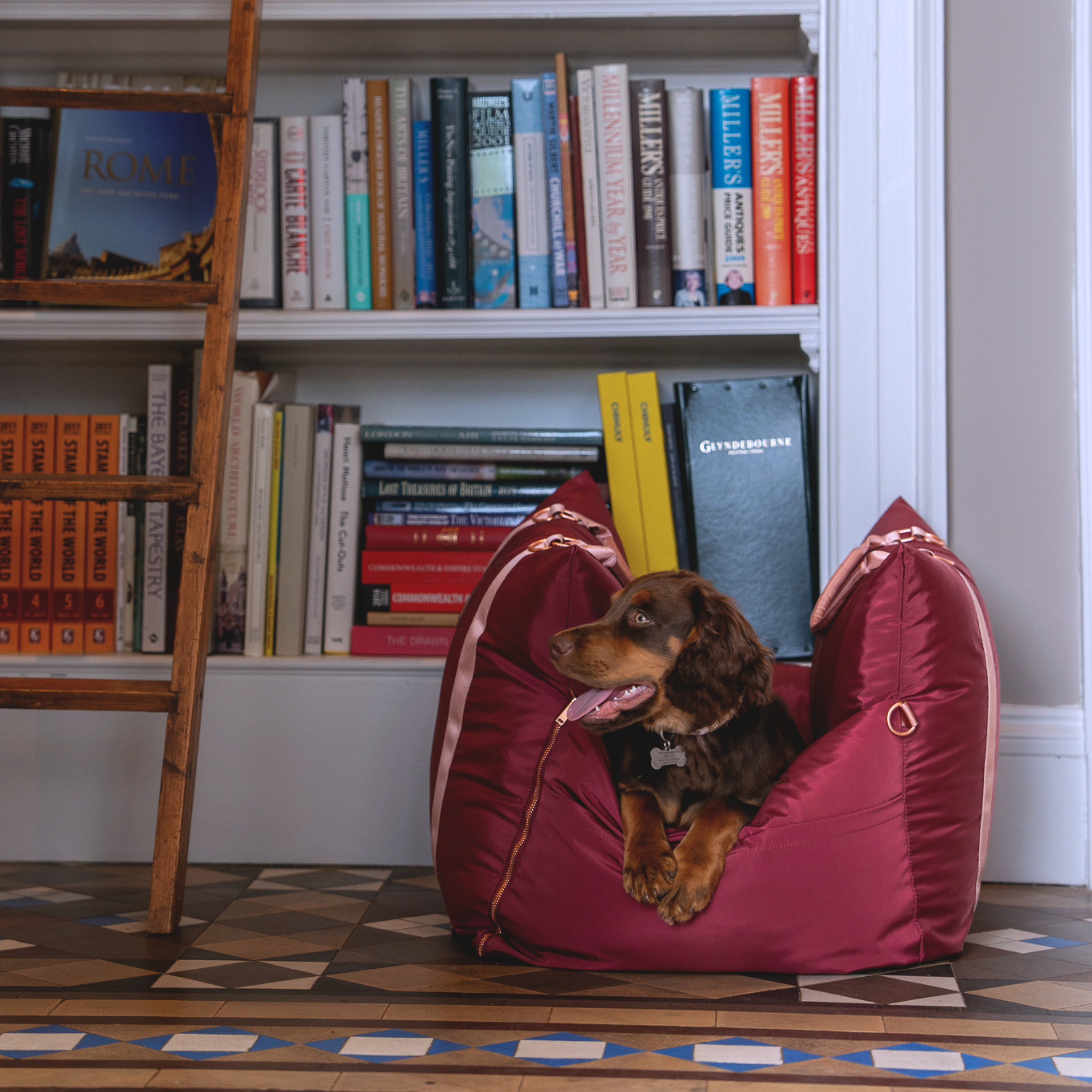 Travel Dog Pod - Rosewood