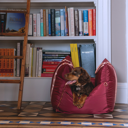 Travel Dog Pod - Rosewood