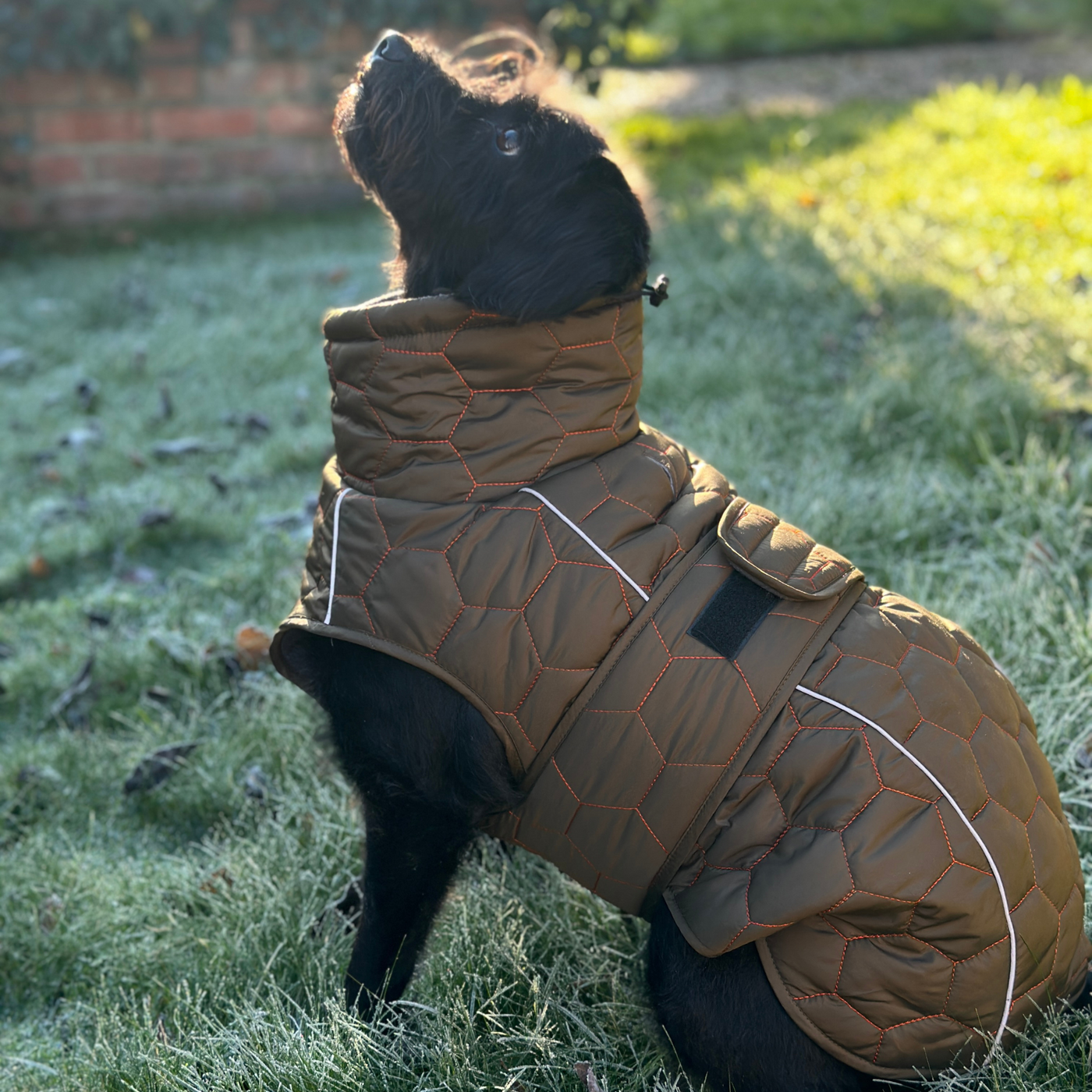 Honey Comb Winter/Spring Water Proof Dog Coat