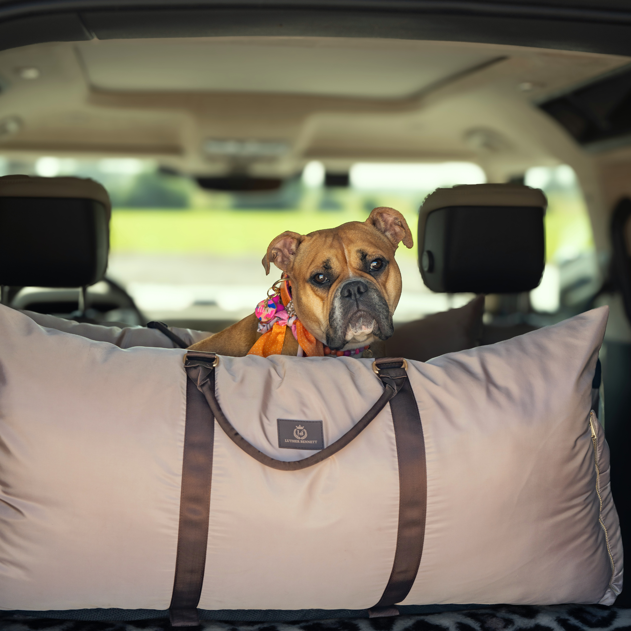 Travel Dog Pod - Hazelnut